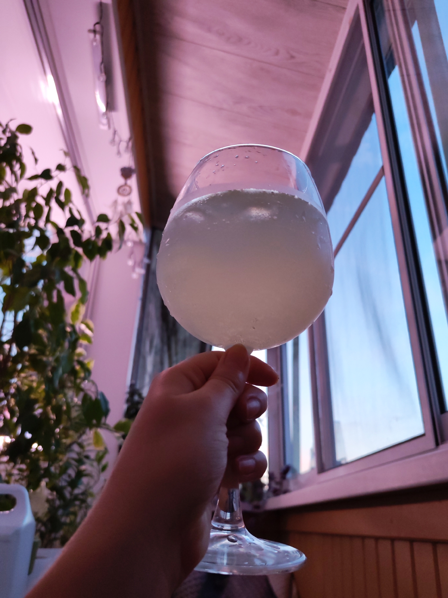 An upward, low-angle medium shot captures a hand holding a stemmed wine glass filled with a pale, effervescent liquid. The glass is partially obscured by condensation. In the background, to the left, a leafy green plant is visible. Beyond the plant and the glass, a window with vertical panes reflects a blue sky and hints of pink light. The scene appears to be set indoors, likely on a balcony or near a large window, possibly in Izhevsk, Russia, given the pinkish hue cast by artificial lighting that could be indicative of the city's twilight or dawn atmosphere.