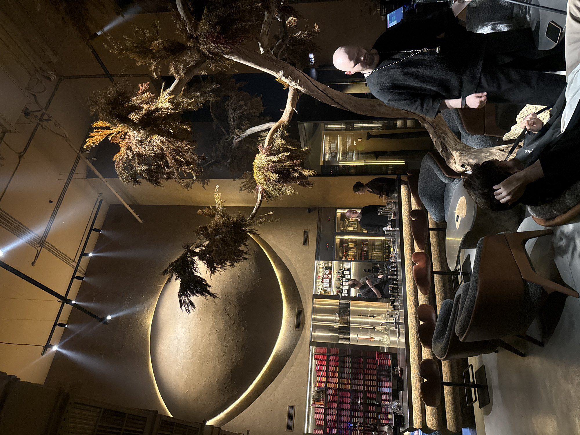 The image depicts the interior of a commercial establishment, likely a restaurant or bar, in Khimki, Russia. Dominating the scene is a large, decorative tree with sparse foliage, possibly artificial, extending across the ceiling.
Several individuals are present. One bald man is dressed in black. Other individuals are seated in chairs and interacting at a table.
The environment features a bar area with bottles displayed on shelves. A distinctive design element is a large, illuminated crescent shape on the wall. Spotlights illuminate the scene.
Seating is provided by modern-looking bar chairs.