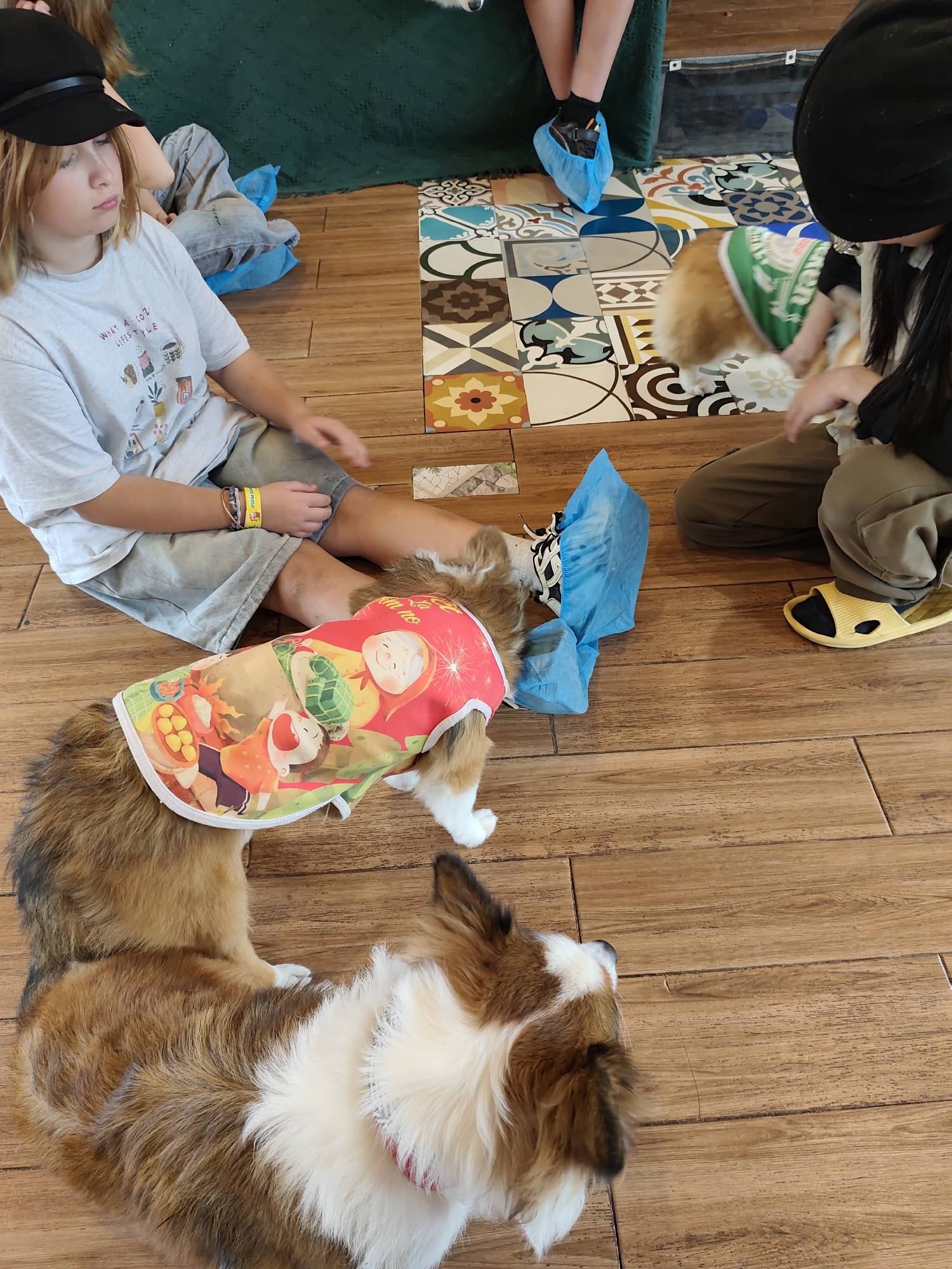 In an indoor setting with wood-paneled flooring and decorative tiles, a group of people and two dogs are present. A young individual wearing a black cap and a grey t-shirt sits on the floor, facing left. Beside them, a dog with a red and yellow patterned shirt is lying down. Another dog, with predominantly white and brown fur, is also on the floor in the foreground. To the right, a person wearing a black hat, a dark top, and khaki pants is seated, with yellow slippers on their feet. Blue shoe covers are visible on some individuals' feet. A green cloth is draped in the background.