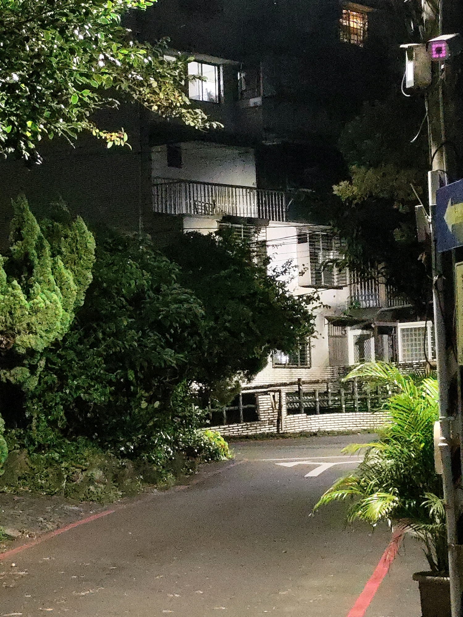 The image shows a narrow, paved road at night, with a red line painted on the left edge. To the left of the road, there is a steep, overgrown embankment covered in dark green bushes and trees. A tall, conical evergreen tree is prominent on the left side, its foliage brightly lit from above.
Beyond the trees and embankment, a multi-story building is visible, its facade dark and illuminated by light spilling from windows. The building has balconies with metal railings and numerous windows, some with bars. The architecture suggests it is an older residential building.
To the right of the road, a tall utility pole stands with a security camera or light fixture attached near the top, featuring a pinkish-purple light. A blue sign with a yellow arrow pointing to the right is mounted on the pole. Further down the pole, another sign with yellow text on a dark background is partially visible. In the foreground on the right, a potted plant with large, lush green fronds is situated next to the road. The overall scene depicts a quiet, somewhat dimly lit street in what appears to be a residential area of New Taipei City, Taiwan. The presence of the building, the road markings, and the utility pole with signage are characteristic of urban environments in Taiwan.