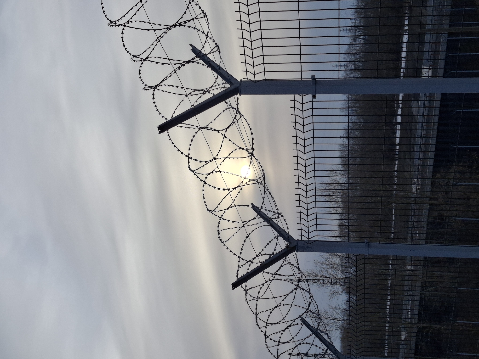The image shows a high security fence topped with razor wire, likely located in the city of Chaikovsky, Russia, as inferred from the presence of Cyrillic characters in the EXIF data. The fence is composed of metal mesh supported by metal posts with angled supports for the razor wire. The sky is overcast. Trees are visible in the background behind the fence. Sunlight is obscured by clouds, but partially visible through the razor wire. The photo is rotated slightly counter-clockwise.