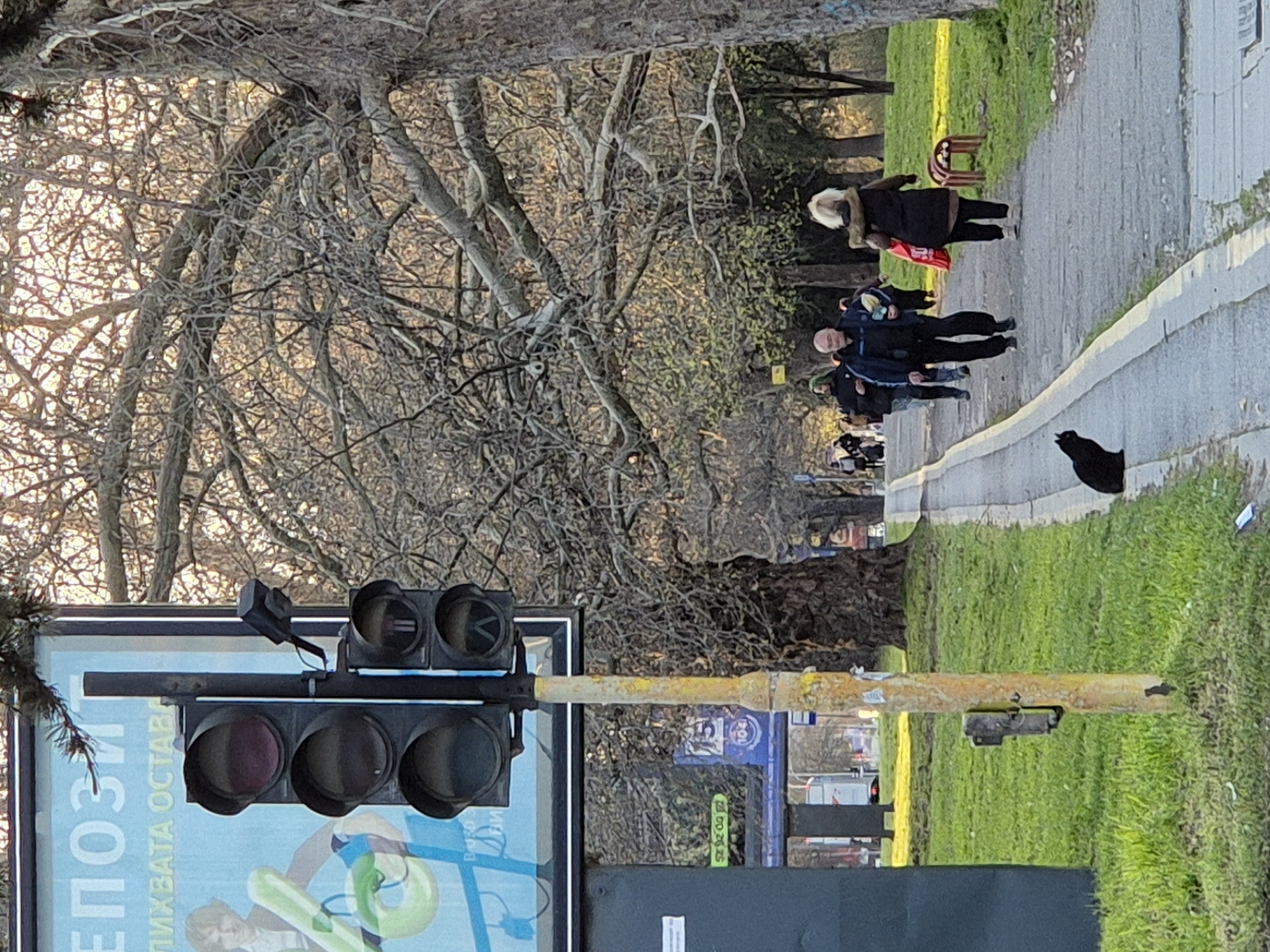 The image depicts an outdoor scene, seemingly in Varna, Bulgaria, based on the Cyrillic script on the billboard.
A sidewalk runs along a grassy area, with several people walking along it. These individuals are dressed in casual clothing. A black bird stands on the sidewalk.
A traffic light is visible in the foreground. The traffic light is located next to a billboard with text in Cyrillic script. Trees, mostly bare of leaves, stand on both sides of the sidewalk. The overall weather appears to be clear.