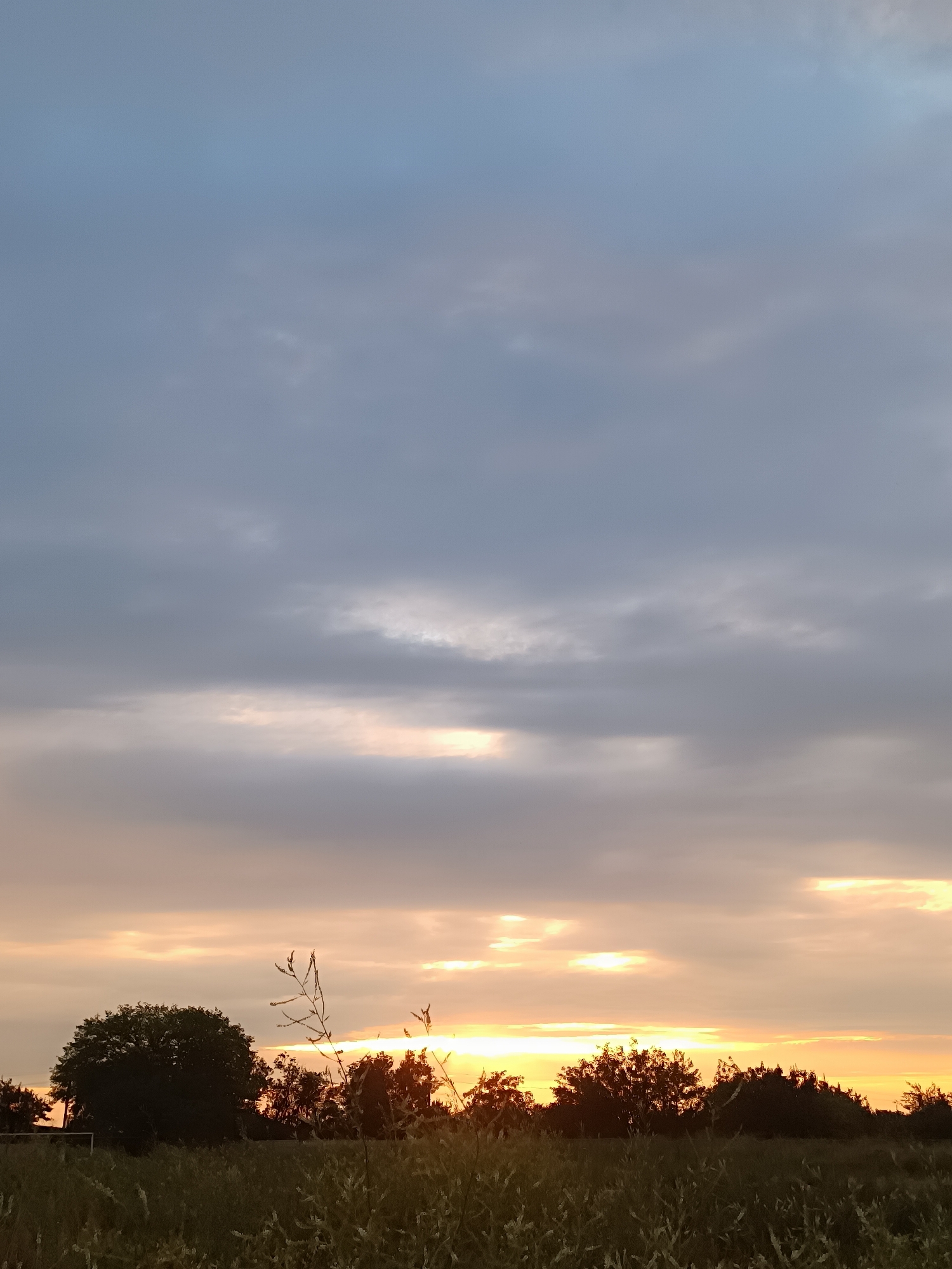 This image captures a sunset over a rural landscape in Volodymyrivske, Ukraine. The sky is filled with varying shades of grey and blue clouds, with streaks of orange and yellow light from the setting sun breaking through. The horizon is lined with a dark silhouette of trees, which appears dense in some areas and more sparse in others. In the foreground, tall grasses and some wildflowers are visible, silhouetted against the illuminated sky. A large, round tree stands out on the left side of the frame, and a hint of a sports goal frame is visible behind it. The overall impression is one of tranquility and the natural beauty of a rural sunset.