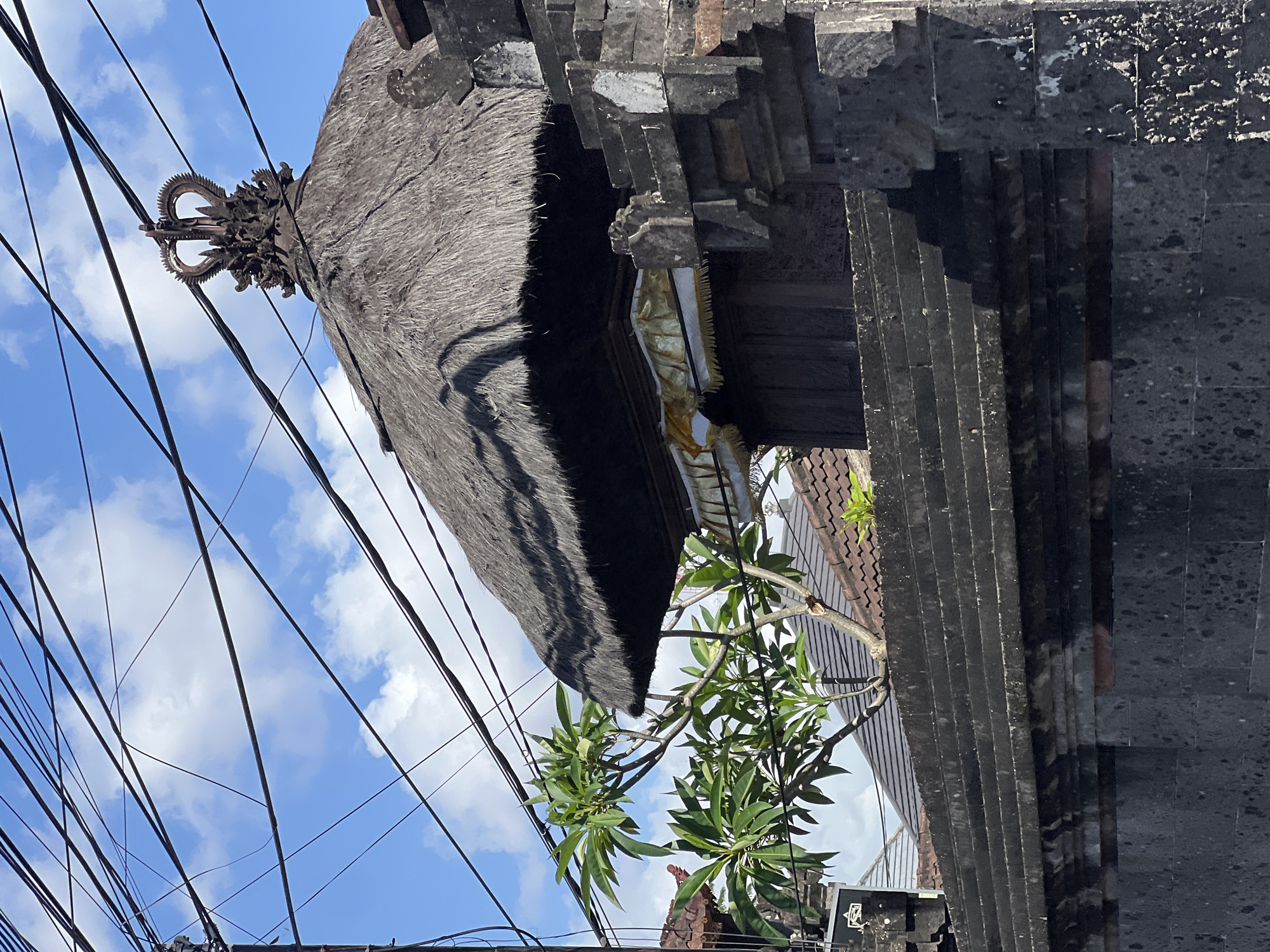 This image captures a detail of a traditional Balinese building in Denpasar, Indonesia, against a backdrop of a bright blue sky with scattered white clouds. The composition is dominated by the thatched roof of the building, adorned with intricate, dark-colored, crown-like ornamentation at its peak. Beneath the thatched roof, a section of the building is visible, featuring dark wooden doors and a decorative element with gold and white fabric.
The building is partially obscured by a lush green tree with broad leaves, positioned in front of it. The structure is fronted by a dark, stone wall constructed from rough-hewn blocks, layered to create a terraced effect. The wall's surface shows signs of weathering and some white discoloration.
Above the building and tree, a dense network of black electrical wires crisscrosses the frame, originating from a utility pole on the left side of the image. In the background, rooftops of other buildings, covered in reddish-brown tiles, can be seen. The overall scene suggests a typical urban or semi-urban environment in Denpasar, where traditional architecture coexists with modern infrastructure like overhead wiring. There are no people or animals visible in the frame.