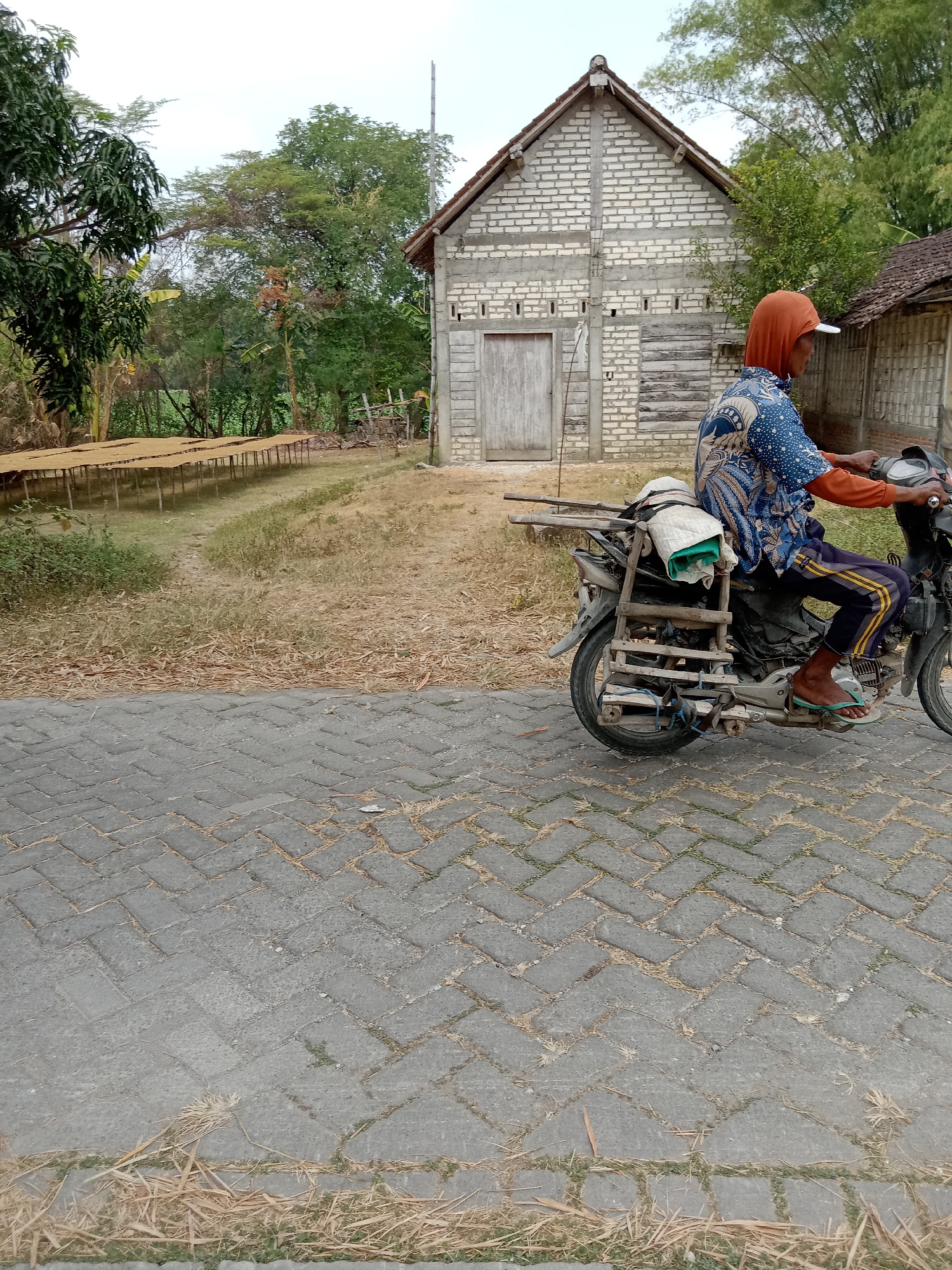 A person wearing an orange head covering and a blue patterned shirt rides a motorcycle on a paved path. The motorcycle is laden with bundles and what appears to be a wooden rack. Behind the motorcycle, a rustic brick building with a wooden door and roof is visible. To the left of the building, rows of flat, wooden structures, possibly drying racks, are set up in a grassy area. The environment appears to be rural, with trees and vegetation surrounding the structures and building. The paved path is laid with grey interlocking bricks in a herringbone pattern. The sky is overcast. The location is identified as Jumput, Indonesia.