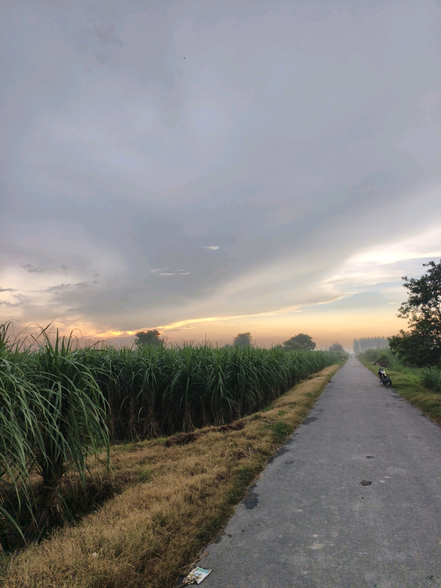 The image depicts a rural road in Mohammadpur Rai Singh, India, at dusk or dawn. The road, paved with asphalt, stretches into the distance, flanked by tall green sugarcane stalks on the left and a grassy verge on the right. A motorcycle is parked on the right side of the road, near the edge of the sugarcane field. The sky is filled with dramatic clouds, with a warm glow suggesting the setting or rising sun peeking through. A few distant trees are visible, and the overall atmosphere is serene and tranquil. The foreground shows dry grass and a discarded piece of paper on the side of the road.