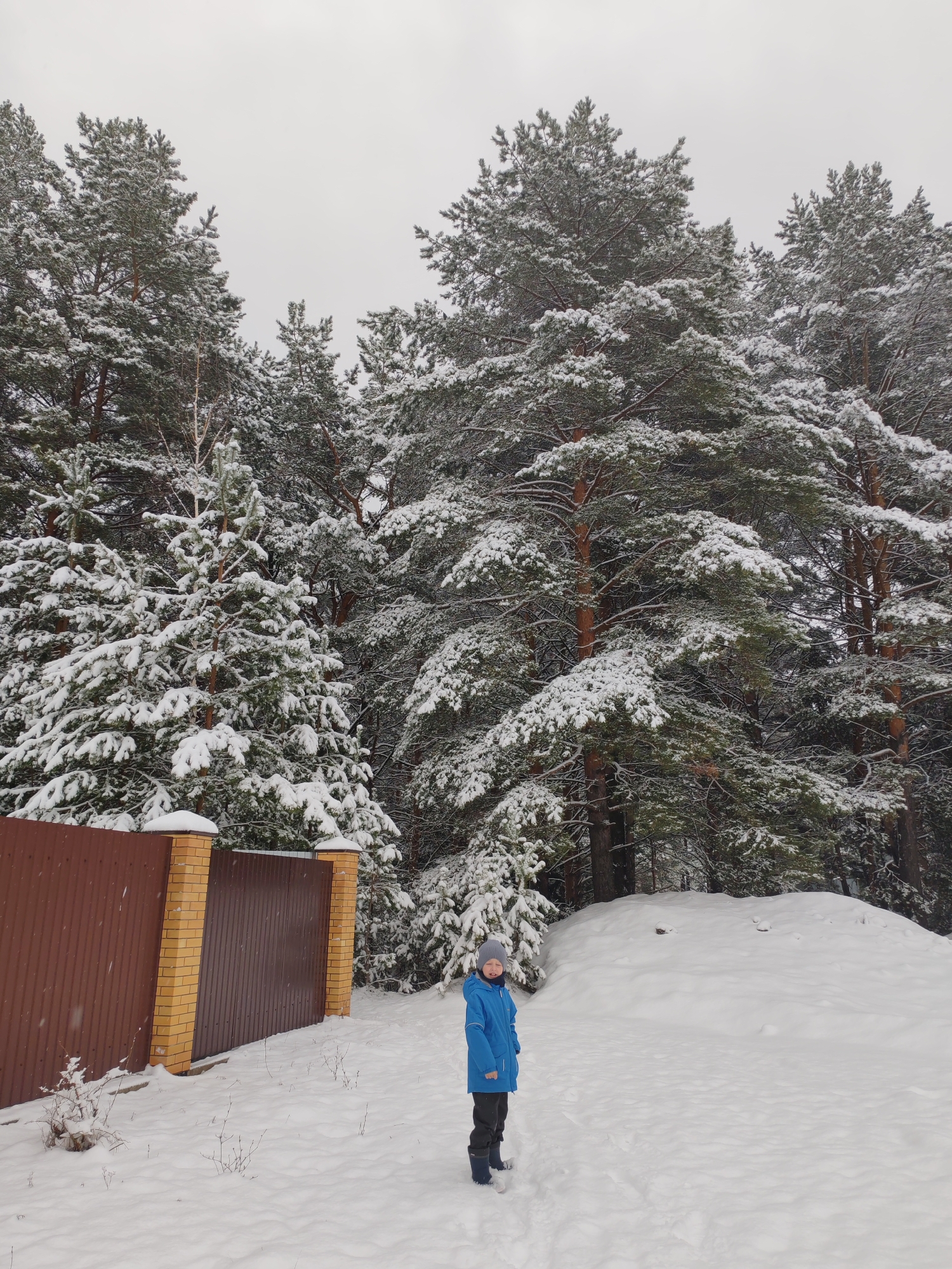 A child in a blue coat, gray hat, black pants, and blue boots stands in a snowy landscape in Chaikovsky, Russia. The scene is dominated by snow-covered evergreen trees, forming a dense forest backdrop. A brown fence with brick pillars marks the edge of the property on the left side of the frame. The sky is overcast, suggesting a winter day. The child is centered in the foreground, facing forward.