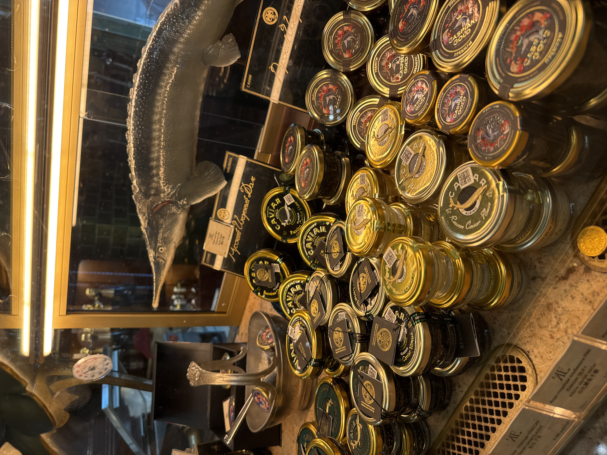 The image shows a display of various jars of caviar in a shop. The display includes multiple brands and sizes of caviar jars, with some jars stacked on top of each other. In the background, a large decorative sturgeon fish is mounted. There is also an antique-looking thermometer on the wall. The overall setting appears to be a retail establishment specializing in luxury food items. The caviar jars are predominantly gold-colored with black and red labels. Some of the visible text on the labels includes "CAVIAR," "CLASSIC," "PREMIUM," and "CASPIAN GOLD." The display is well-lit, highlighting the products. The location is identified as a caviar shop in Saint Petersburg, Russia.