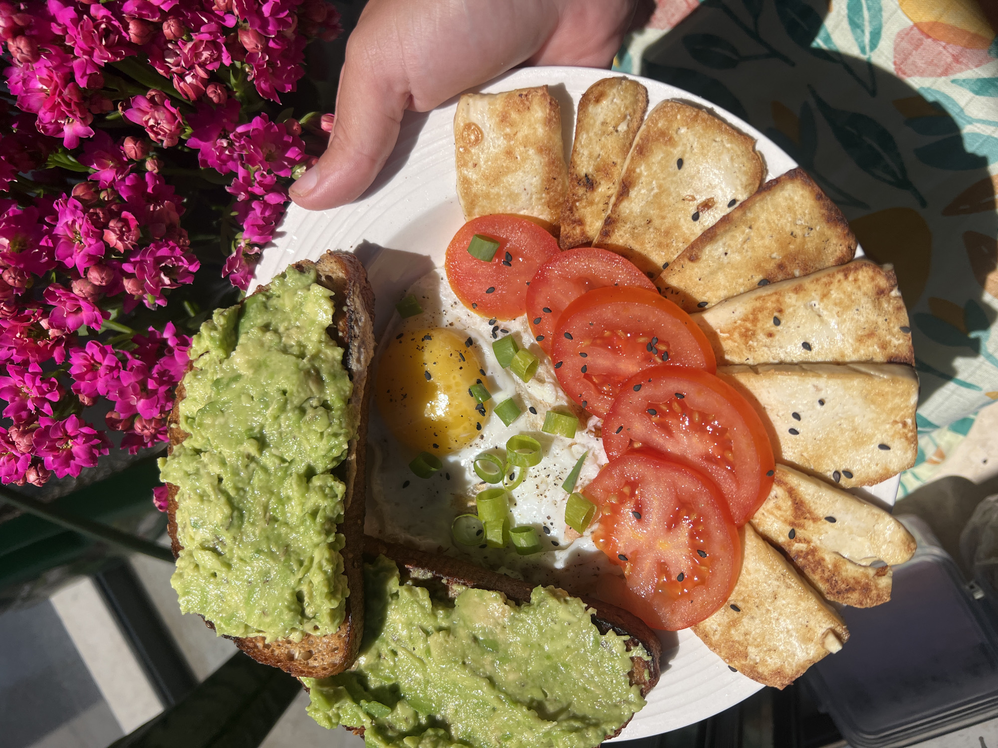 A close-up, high-angle shot captures a healthy and colorful meal served on a white plate, held by a person's hand. The meal consists of two generous slices of avocado toast, a sunny-side-up fried egg, several slices of red tomato, and multiple pan-fried rectangular slices of tofu.
The avocado toast features a thick layer of mashed avocado on dark, toasted bread. The fried egg has a bright yellow yolk and firm white, garnished with chopped green onions and a sprinkle of black sesame seeds. The tomato slices are fresh and red, also sprinkled with black sesame seeds. The tofu slices are golden brown, indicating they have been pan-fried, and some also have black sesame seeds on them.
The plate is held by a hand with light skin, and the thumb is visible resting on the edge of the plate.
In the background, to the left, is a vibrant cluster of magenta or fuchsia-colored flowers, possibly Kalanchoe, adding a striking pop of color. To the right, part of a patterned tablecloth or fabric with green, yellow, and orange leaf designs is visible. Strong, bright sunlight casts distinct shadows across the scene, including a large soft shadow on the tablecloth and sharper shadows on a dark surface in the lower left, suggesting an outdoor setting like a balcony or patio during daytime. No text is visible in the image.