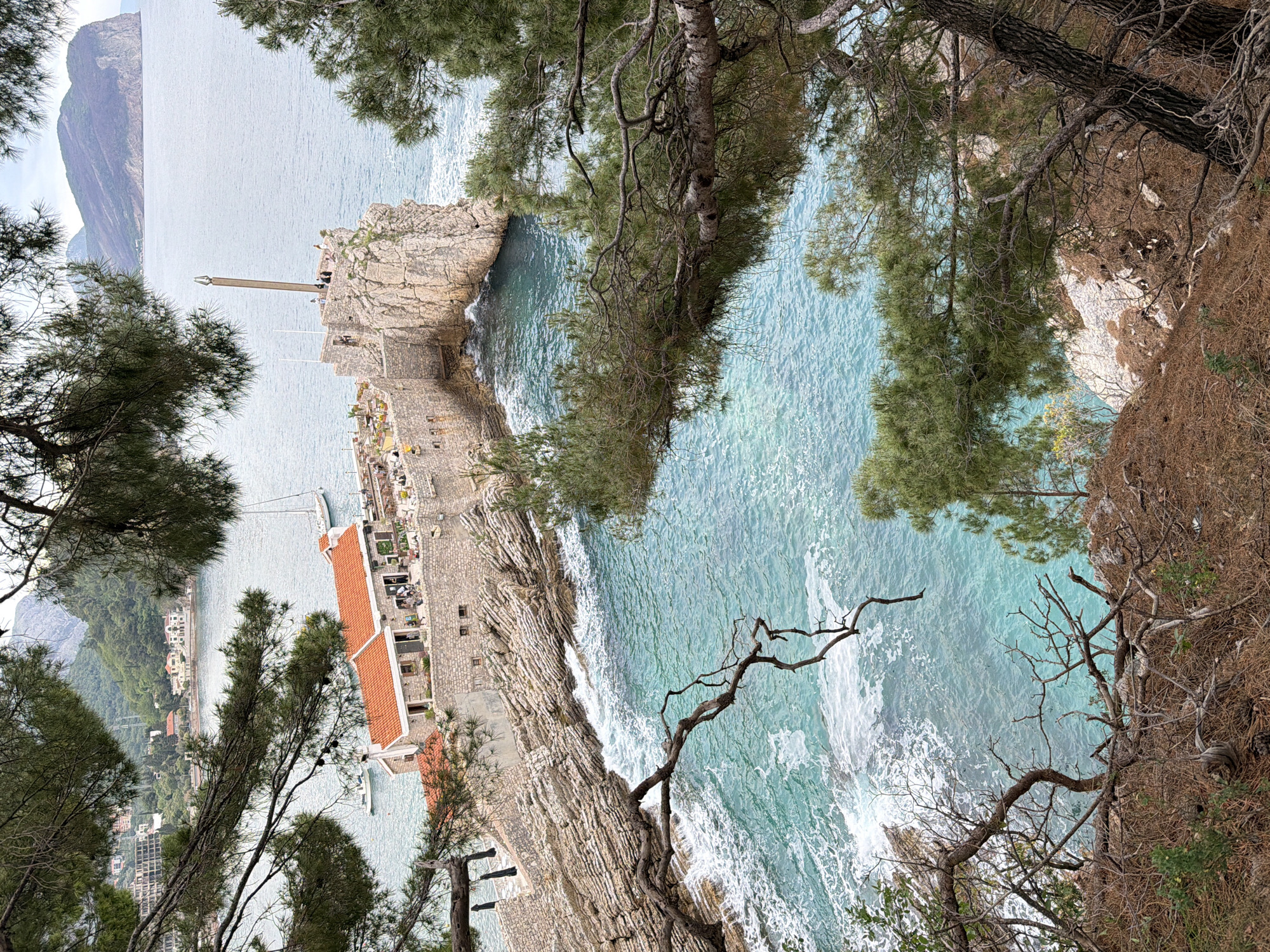 The image depicts a coastal scene in Petrovac na Moru, Montenegro. The frame is partially obscured by the branches and foliage of pine trees in the foreground. The view is directed towards a rocky peninsula extending into the turquoise sea. On this peninsula, there is a structure with a red-tiled roof, likely a building or fortress. The architecture appears historical, with stone walls. A tall, slender metal structure, perhaps a mast or antenna, is visible on the highest point of the peninsula. In the background, across the water, are more buildings, indicating a settlement on the coast and a mountain range, appearing hazy in the distance. The sea is choppy with waves visible along the rocky shoreline.