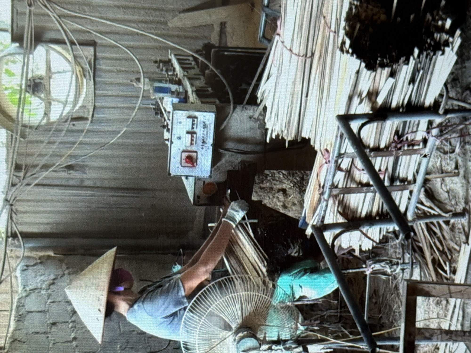 This image, rotated 90 degrees clockwise from a typical upright view, depicts an indoor workshop or small manufacturing facility in Đà Nẵng, Vietnam.
In the left-central part of the frame, a person is shown working. They are wearing a traditional Vietnamese conical hat (nón lá), a dark face mask, a light-colored short-sleeved shirt, and white gloves. Their arms are extended towards a piece of industrial machinery, suggesting they are actively operating it. A prominent white-caged electric fan is positioned in the lower-middle foreground, appearing to blow air across the workspace.
The machinery in the center includes a white control panel box with a visible red switch, several smaller switches, and other indicators. The letters "F F" and some other illegible alphanumeric characters are visible on this control panel. Various electrical wires and cables are strung across the upper portion of the scene.
To the right of the machinery and the worker, large piles of narrow, light-colored strips, likely wood or bamboo, are stacked. Some of these strips are supported by a dark metal frame or rack. These materials suggest a production process involving wood or bamboo.
The workshop's environment appears functional and somewhat rustic. In the upper-left corner, a round window allows natural light to enter, with greenery visible outside, indicating it is daytime. The walls are constructed from rough concrete blocks in the lower-left and what appears to be corrugated metal paneling in the upper section. A blue or green object (possibly fabric or a container) is seen near the bottom right, next to the fan. The overall scene conveys a busy, small-scale industrial setting focused on material processing.