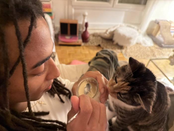 A man with dreadlocks is feeding a tabby cat. The man holds a clear jar containing a light-colored substance and a spoon. The cat is focused on the jar's contents. They are in a home setting with wooden floors. In the background are a speaker, a decorative piece on a table, and draped white fabric. The man is wearing a white shirt.