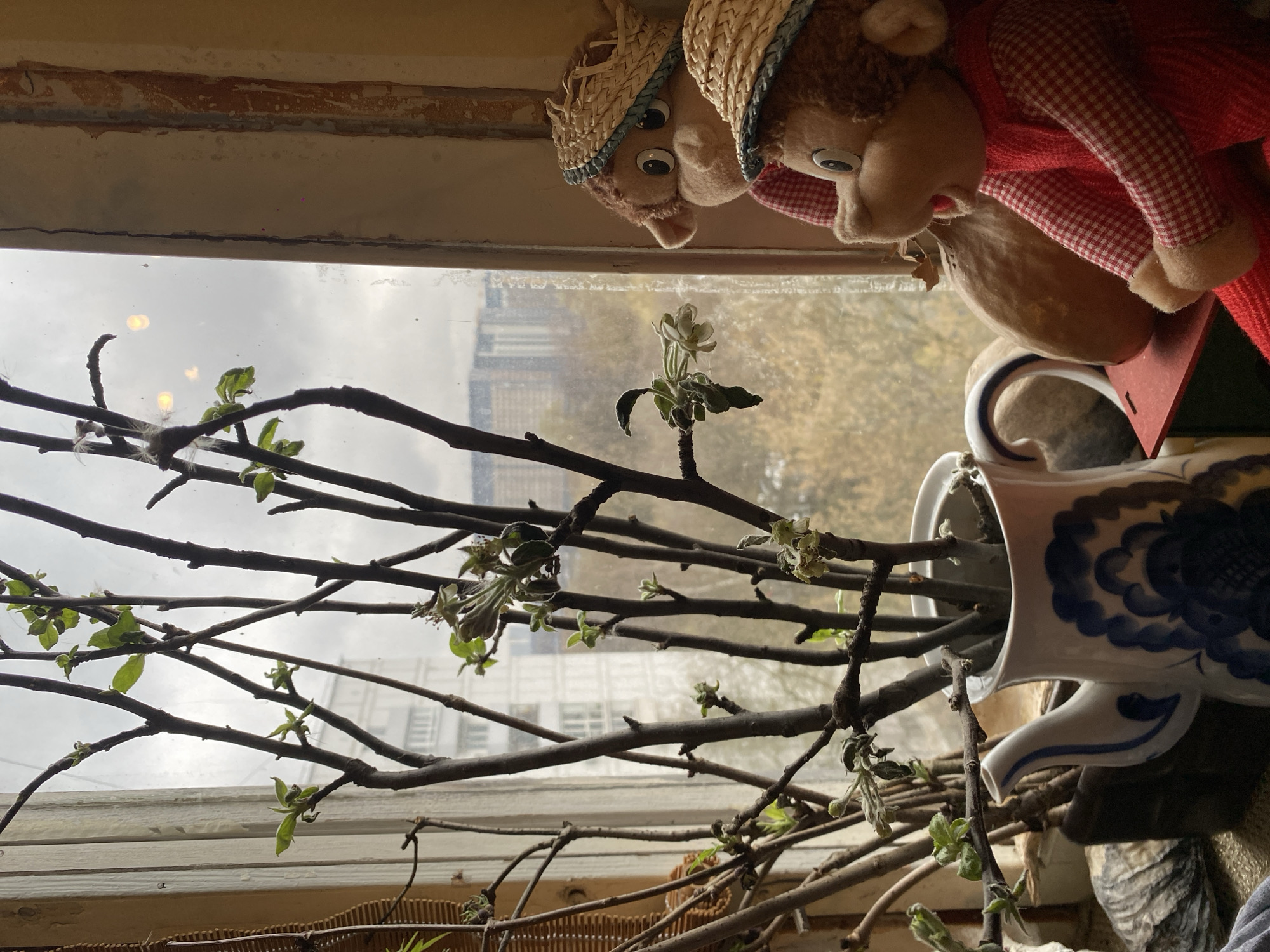 The image shows a view from a window in what appears to be an apartment. Inside, there are flowering branches arranged in a white ceramic pitcher with blue floral designs. Two stuffed monkey toys with straw hats and red checkered shirts are positioned at the top of the window frame, looking down at the branches. Outside the window, a blurry cityscape is visible, identifiable as Moscow, Russia based on architectural styles and general urban landscape. The day seems overcast. A woven basket is partially visible beneath the branches.
