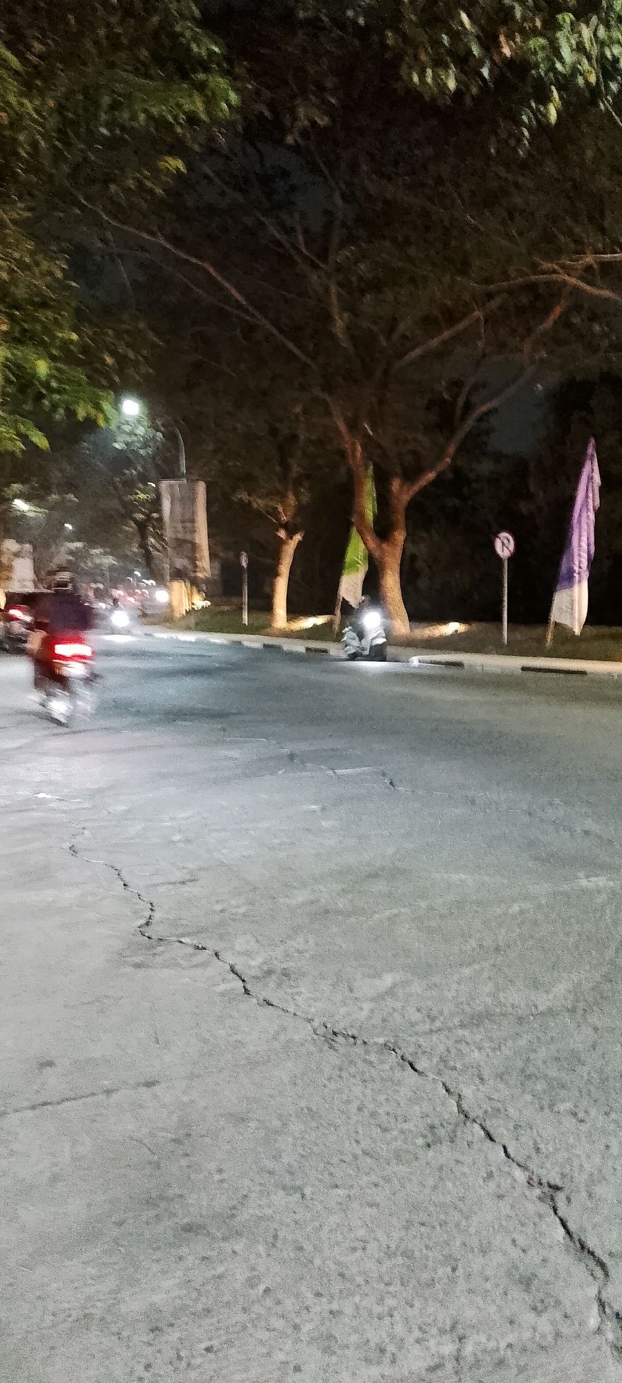 The image depicts a nighttime scene on a paved road with visible cracks, likely in Satriamekar, Indonesia. A motorcycle is in motion on the left side of the frame, its red taillight blurred due to movement. Further down the road, another motorcycle is stationary on the right side, illuminated by its headlight. Two flags, one green and one purple, are visible near trees on the right side of the road. A "no parking" sign is also present. The environment is characterized by trees lining the street, with streetlights providing illumination. The overall atmosphere is dim, consistent with nighttime conditions.