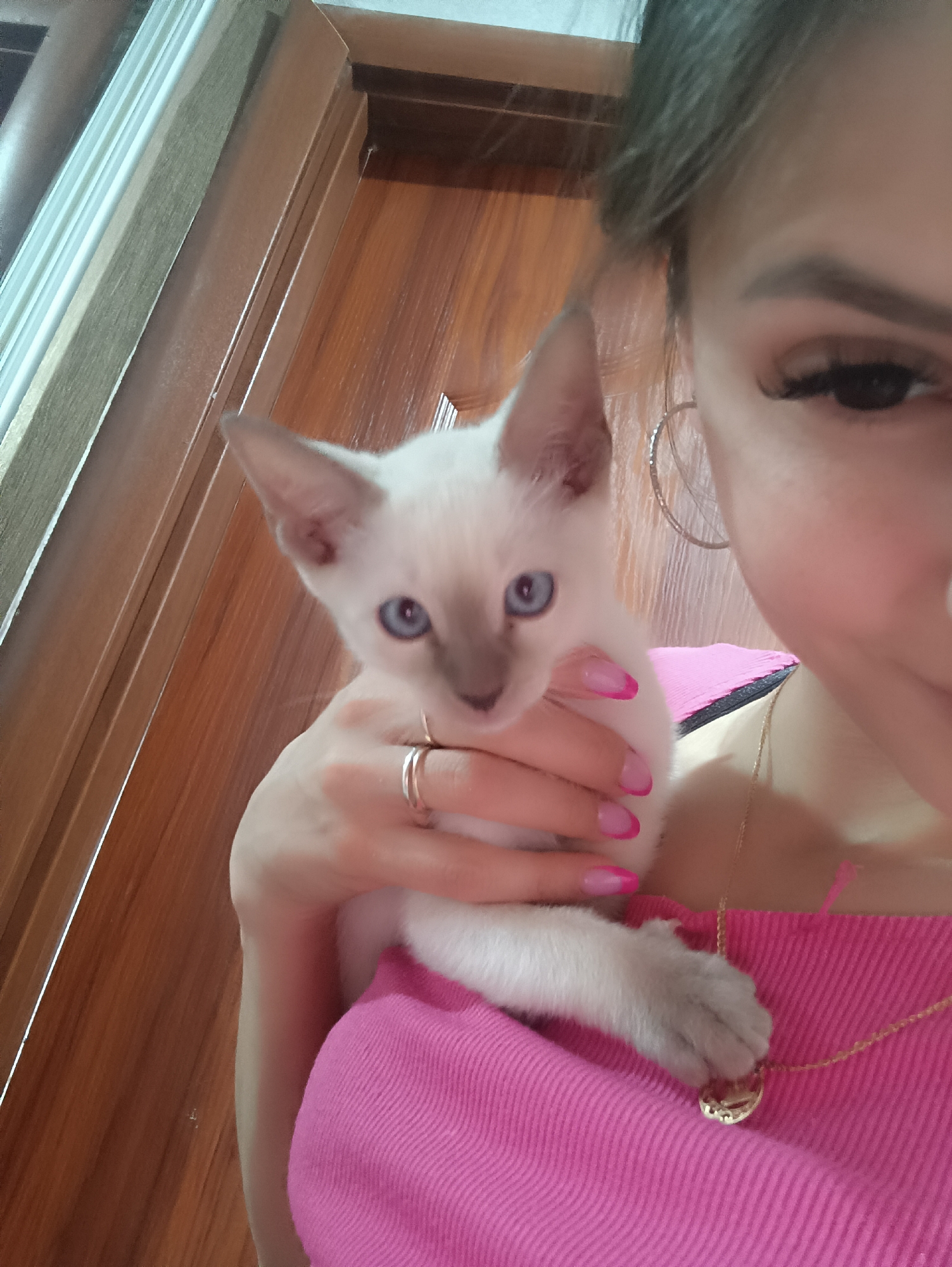 A woman holds a light-colored Siamese kitten with blue eyes against her chest. The kitten is looking towards the camera. The woman is wearing a bright pink top and a gold necklace with a heart-shaped pendant. She has a gold ring on her finger and hoop earrings. The background appears to be a wooden door and wall. The image is taken from the chest up, with the woman's face partially visible on the right side of the frame.