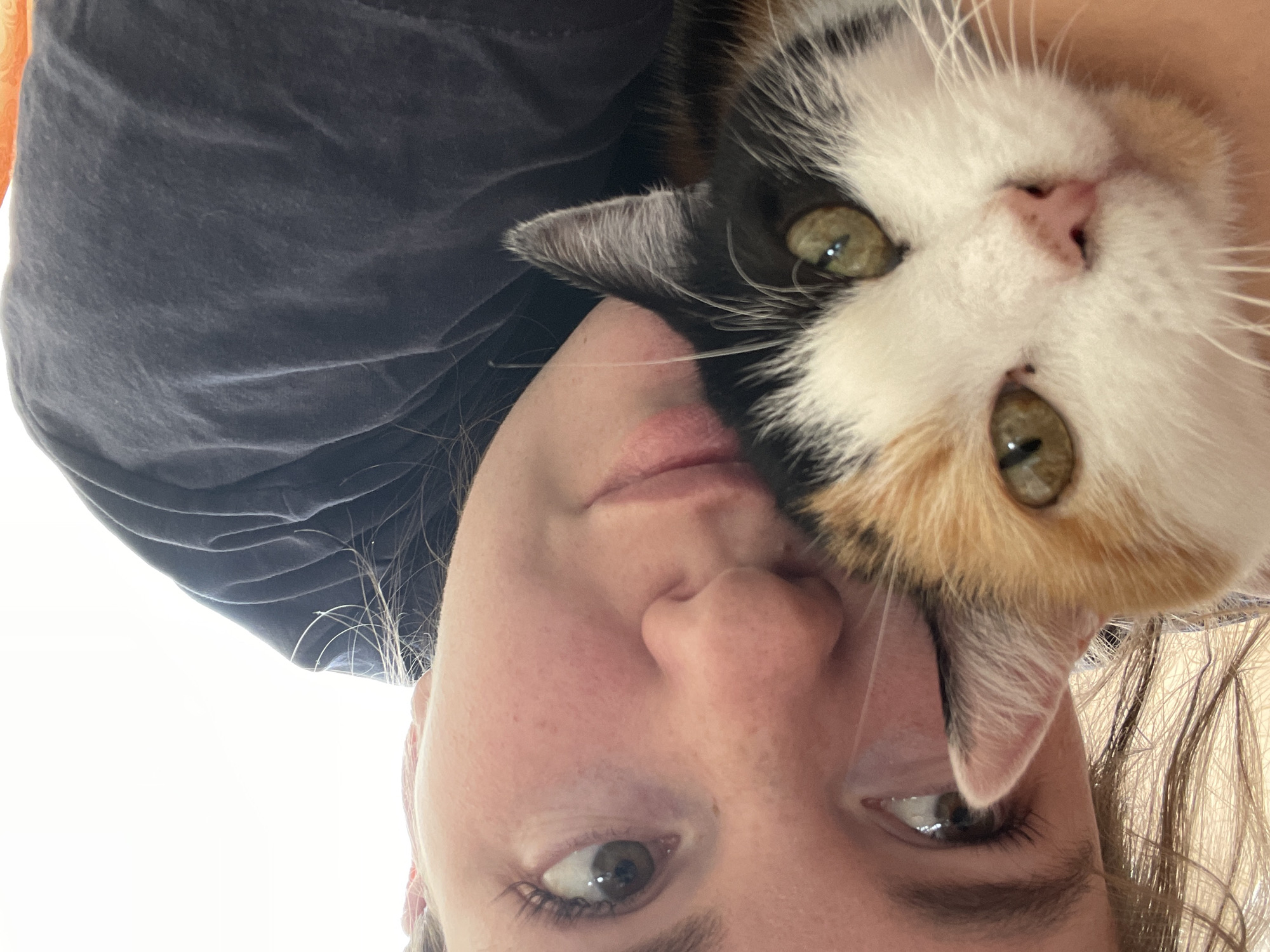 A photograph depicts a person holding a calico cat. The person's face is close to the camera, with the cat's head resting against their cheek. The person has light skin and brown hair. The cat has a white, orange, and black fur pattern. The background is blurry and indistinct, but there appears to be a gray shirt. There is no indication of Zhigalki, Russia in the image.