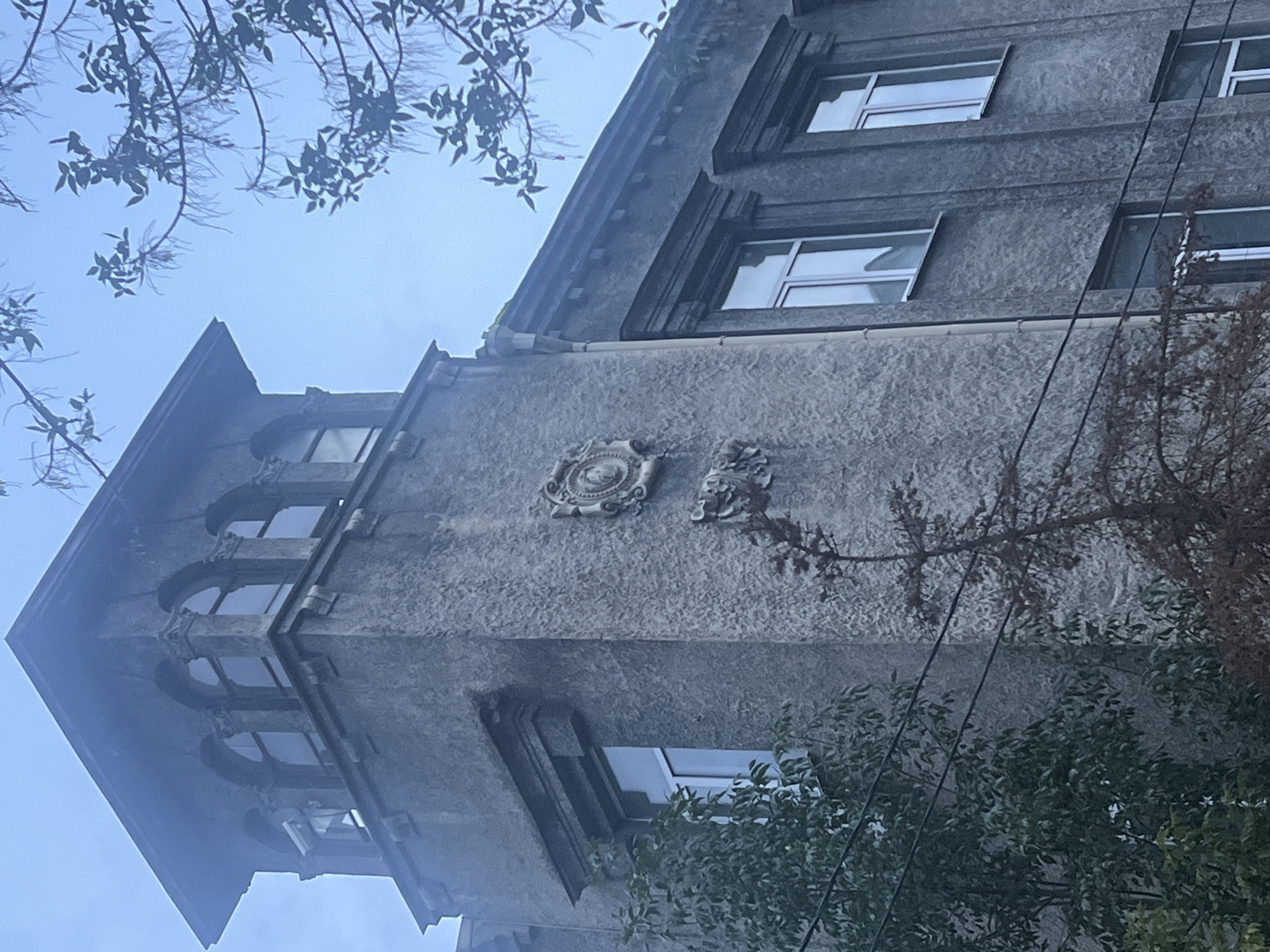 This is a ground-level, eye-level, medium shot photograph of the exterior of a grey, stucco-clad building, possibly in Nizhny Novgorod, Russia. The building features architectural elements such as arched windows with white frames on an upper tower section, and rectangular windows with white frames on lower levels. Decorative relief sculptures, including a circular emblem and a leafy motif, are visible on the building's facade. The sky is overcast and pale blue. Trees with dark green and brown foliage are present in the foreground and to the sides of the building, partially obscuring the lower sections. Electrical wires are strung across the frame in front of the building and trees. The overall atmosphere is muted and slightly hazy.