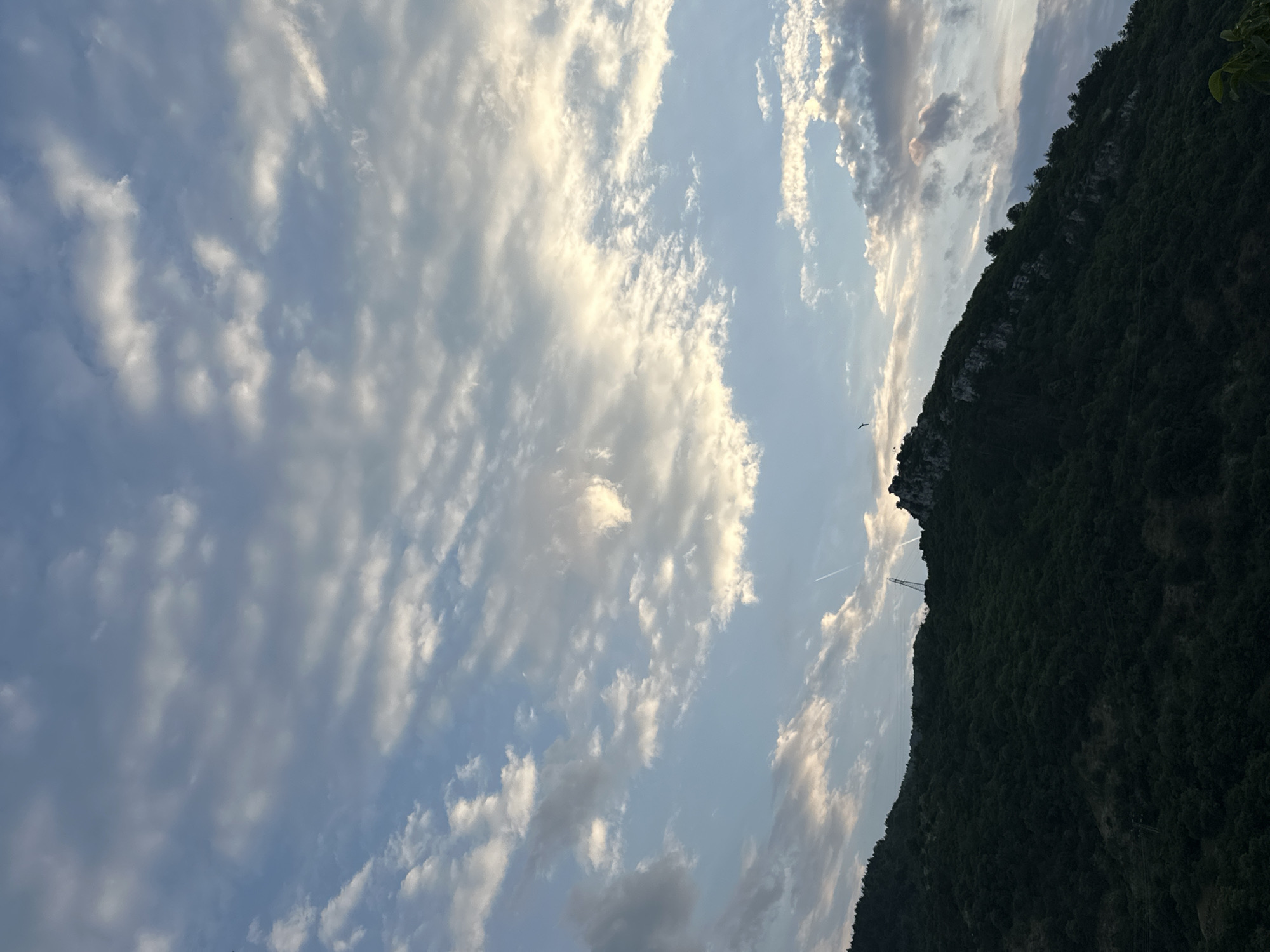 The image displays a panoramic view of a forested mountain against a cloudy sky, characteristic of the landscape surrounding Asenovgrad, Bulgaria. The upper two-thirds of the frame are dominated by a pale blue sky streaked with numerous altocumulus clouds, illuminated from the right by low-angle sunlight, creating bright white and yellow highlights on their edges. Towards the upper right and mid-left, two faint, linear aircraft contrails are visible. Two small, dark bird silhouettes are observed in flight: one in the upper-middle right and another smaller one towards the upper-left. The lower portion of the image features a steeply rising, heavily forested mountain, appearing dark green to nearly black due to being largely in shadow. The mountain terrain is dense with deciduous and coniferous trees. A rocky outcrop is prominent near the peak on the upper-right side of the mountain. On a ridge towards the center-left of the mountain, a tall, lattice-structured metal transmission tower or antenna mast is visible, with faint horizontal lines, possibly power lines, extending from its vicinity across the sky. No human figures are present.