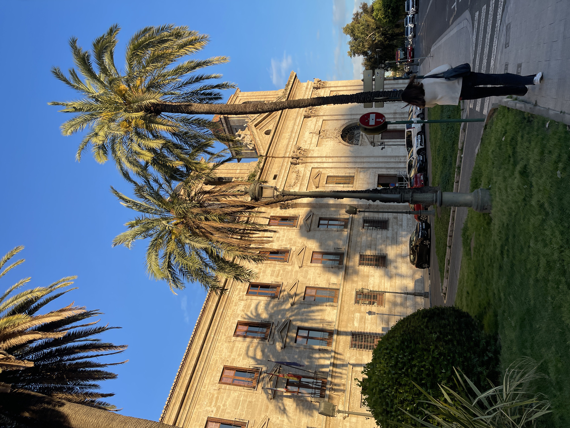 The image shows a street scene in València, Spain. The prominent building is the Delegación del Gobierno, a government building with a light-colored stone facade, visible windows, and architectural details. Several tall palm trees are in the foreground, casting shadows on the building's facade. A street lamp is visible along the sidewalk. A person is walking along the sidewalk near a crosswalk and a grassy area, with cars parked and moving along the street. The sky is blue and clear. A "Do Not Enter" sign is visible next to the building.