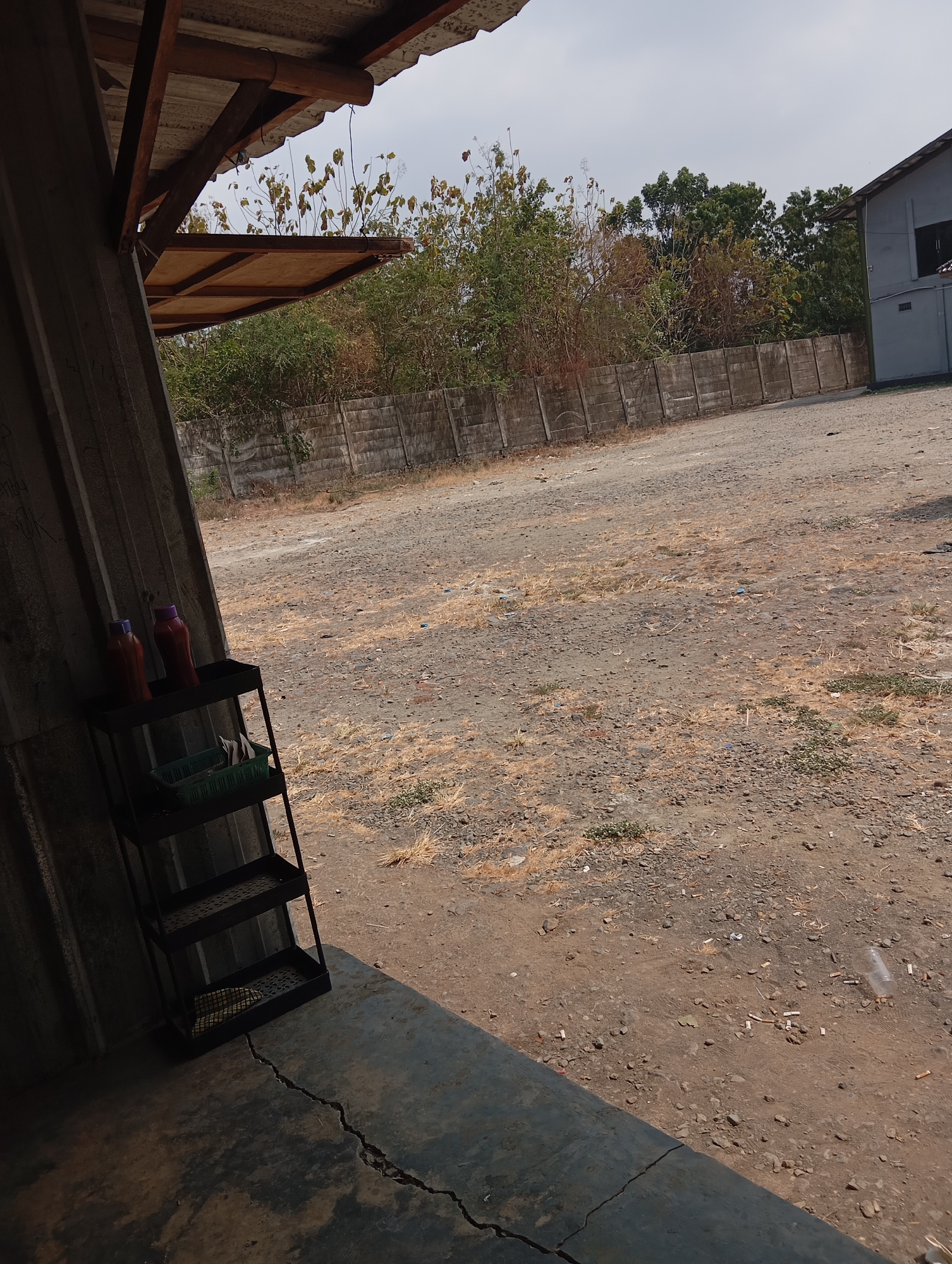 The image depicts an outdoor scene, likely in an industrial or utilitarian area, with elements suggesting a location in Bulak, Indonesia. The foreground features a cracked concrete surface and a dark corrugated metal structure. To the left, a dark, multi-tiered metal shelf holds two bottles with purple lids on the top shelf and a green plastic basket with folded items on the second shelf. Beyond this, a gravelly, dusty ground extends towards a concrete barrier wall. The barrier wall is composed of evenly spaced concrete posts and panels, separating the area from vegetation and trees. In the background, a grey building with a dark window is visible on the right, and a cluster of trees with dry and green foliage forms a backdrop. The sky is overcast. The overall impression is one of a somewhat neglected, dusty outdoor space.