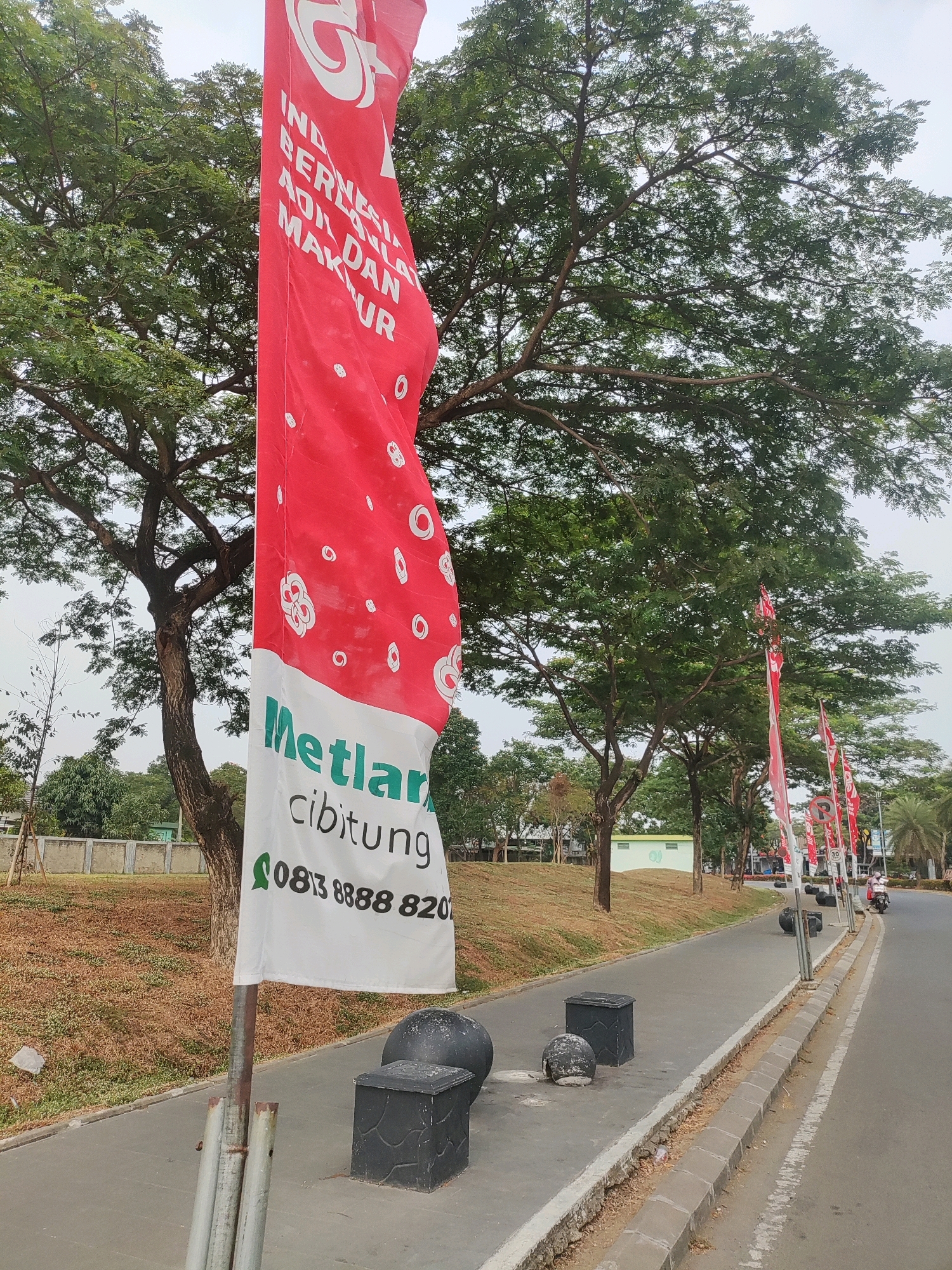The image shows a street scene in Telagaasih, Indonesia. A tall red and white flag is prominently displayed in the foreground, with Indonesian text visible on its lower portion. The flag appears to be a banner for "Metland Cibitung" and displays a phone number "0813 8888 820". Several other red flags are visible further down the street.
The street is paved with asphalt and bordered by a concrete sidewalk. Along the sidewalk, there are several dark-colored, cube-shaped objects and some spherical bollards, one of which appears to be a large, dark ball. Grass and dry foliage cover a sloped area to the left of the sidewalk, leading up to a concrete wall. Beyond the wall, a light green building is visible with a circular logo on its side.
In the background, large trees with dense green foliage dominate the scene. The sky is overcast. A person is riding a scooter on the right side of the street. The environment appears to be a suburban or semi-urban area.