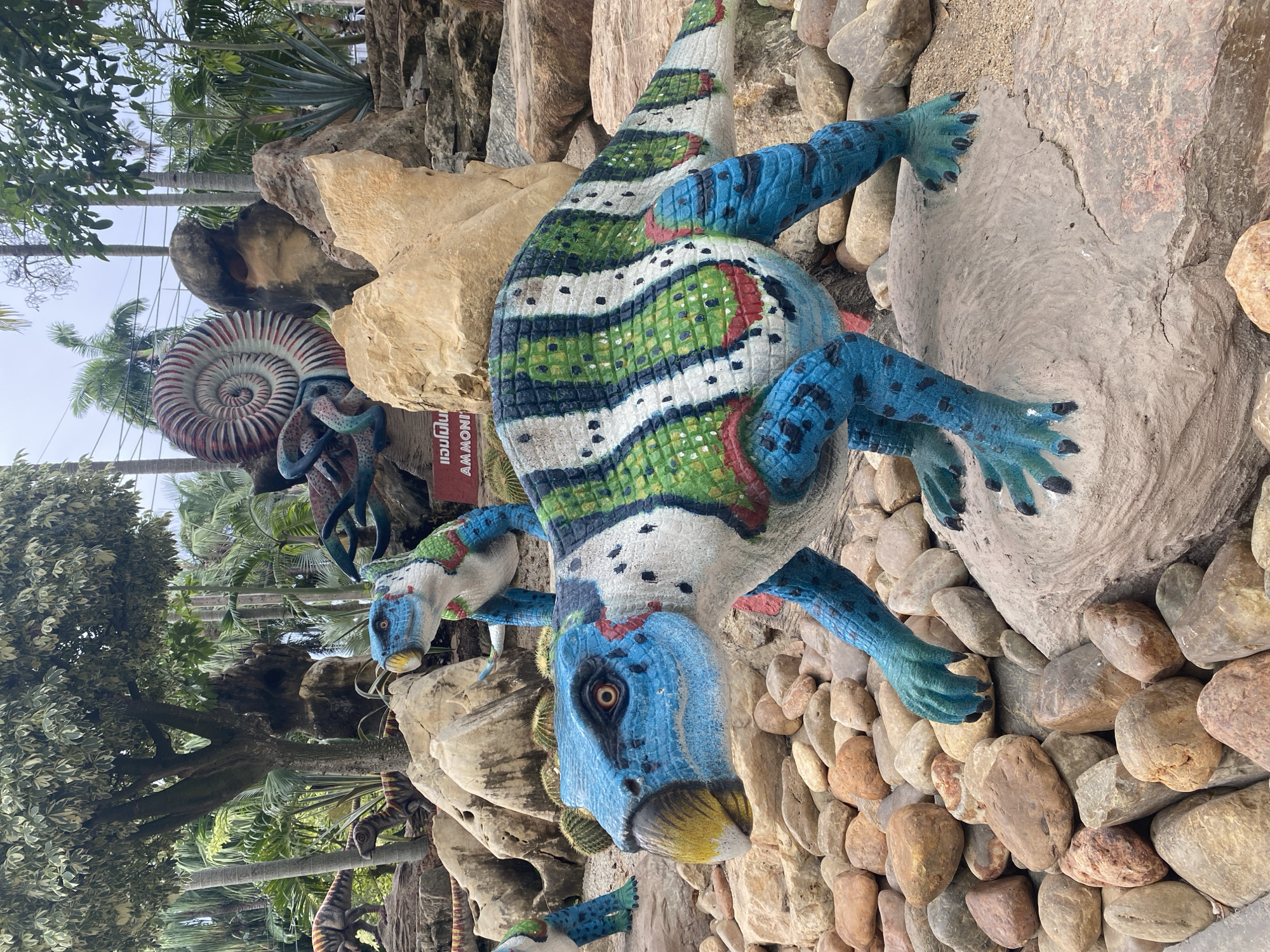 This media file depicts a vibrant, colorful sculpture of a dinosaur, likely a stylized representation. The dinosaur is predominantly blue with black spots and features striking green, white, and red bands along its back and tail. Its claws are black, and its eyes are large and orange with black pupils. The sculpture is set within a rocky landscape, surrounded by large, rounded stones and natural rock formations. In the background, lush green foliage, including palm trees, suggests a tropical or subtropical environment.
Near the base of the main dinosaur sculpture, a smaller, similar dinosaur sculpture is visible, with its head turned towards the larger one. A large ammonite fossil sculpture, with intricate spiral patterns in red and white, is also present in the scene, along with other marine-like creature sculptures. A sign with Thai text and the English word "AMMONITE" is attached to a rock near the ammonite sculpture.
The lighting suggests it is daytime, with bright sunlight casting shadows, indicating clear weather. The overall impression is that of an exhibit in an outdoor park or museum, possibly a dinosaur or fossil-themed attraction, given the location context of Tambon Na Chom Thian, Thailand, which is known for such attractions. The cheerful colors of the dinosaur sculptures and the naturalistic setting create a whimsical and engaging atmosphere.
