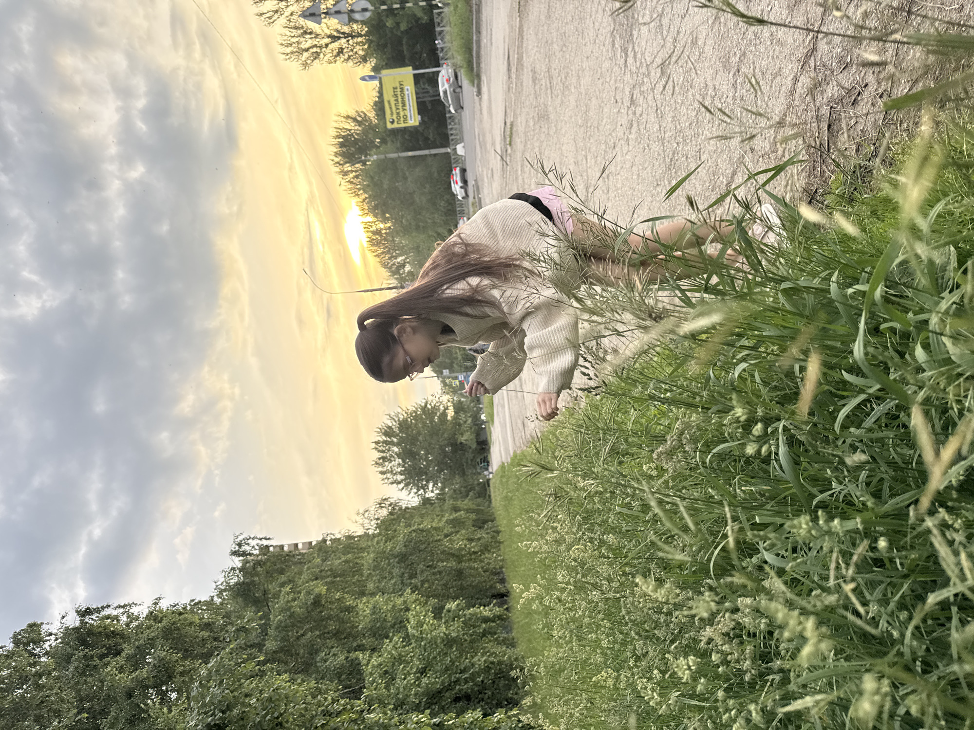 This image depicts an outdoor, late-day scene in an urban-fringe environment within the city of Unknown, Unknown. A young female individual, with long dark hair tied in a ponytail and wearing glasses, is centrally positioned, bending forward towards a patch of tall green grass. She is dressed in a light-colored (beige/cream) long-sleeved sweater over a black garment, with pink shorts and white sneakers visible on her feet. Her hands are engaged with strands of grass, suggesting observation or collection.
The immediate foreground is dominated by dense, tall green grass and weeds, featuring various seed heads, extending from the lower left to the lower right. To the right of the grass is a section of worn, paved asphalt, indicative of a road or path.
In the midground, a paved road curves from left to right, bordered by a metal barrier or guardrail. Two light-colored cars, a white sedan and a silver sedan, are visible in the distance on the road. A prominent yellow rectangular billboard with black text and a graphic, along with a pole holding multiple white circular road signs, stands to the right of the road. A streetlamp is also visible on the left side of the road. Along the left edge of the frame, a dense line of tall deciduous trees with light green foliage forms a wall. More scattered trees are visible beyond the road and billboard.
The background features an overcast sky with patches of bright golden-orange light from a setting sun, particularly on the right side of the frame. Higher and to the left, the clouds are a darker grey. Faint architectural elements of multi-story buildings can be discerned through the trees in the far distance. The overall lighting is soft and warm, characteristic of sunset or golden hour.