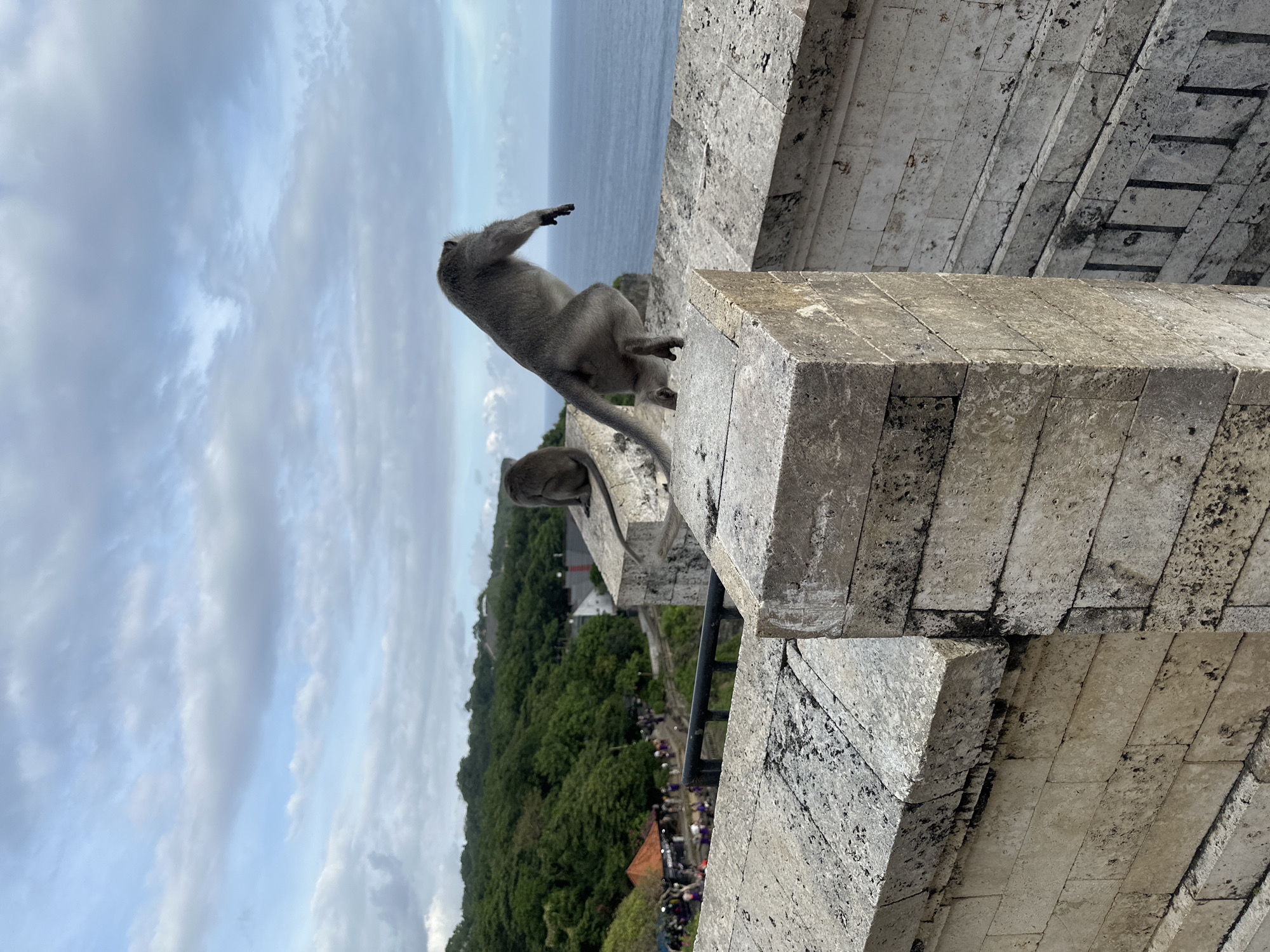 Two monkeys sit on a stone wall with an ocean view. The monkey on the left stands on the wall and raises its left arm. In the background, there is a hill covered with trees and a path with people. The sky is cloudy. The location is likely Uluwatu Temple in Kuta Selatan, Indonesia, based on the presence of monkeys and the coastal setting.