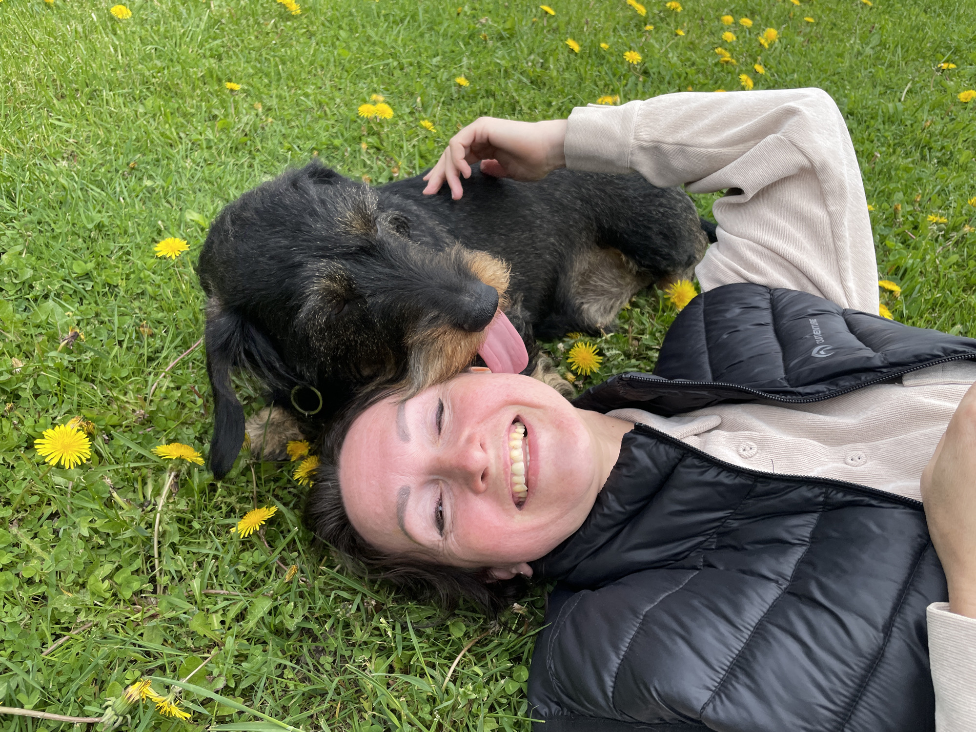 A woman and a dog are lying in a field of dandelions in Solov'evka, Russia. The woman, fair-skinned with dark hair, is lying on her back wearing a black puffer jacket over a light-colored sweater. She is smiling and looking at the camera. The dog, a wire-haired dachshund, is lying on top of her, its tongue sticking out. The dog is being petted. The environment is a green grassy field with numerous yellow dandelions.