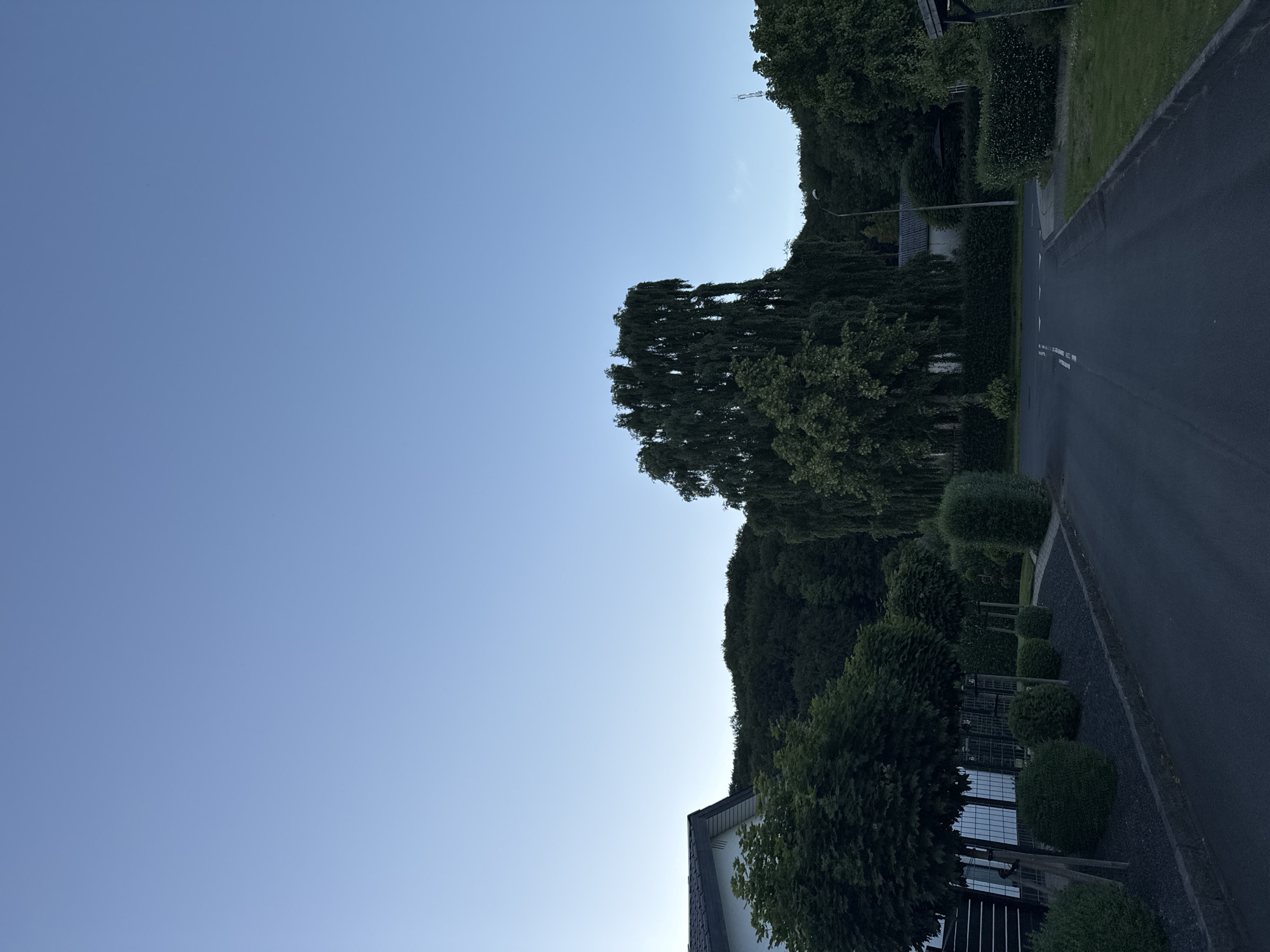 The image depicts a street scene in the city of Vejle, Denmark, under a clear, pale blue sky, suggesting either early morning or late evening. The perspective is from the road, looking forward and slightly uphill. On the left side of the street, a white house with a dark roof is partially visible, surrounded by neatly trimmed, spherical trees and low-lying bushes. The road itself is paved and has white markings indicating lanes.
The right side of the street is lined with more lush greenery, including hedges and trees. A prominent, large tree with drooping branches stands out in the middle ground, its dark foliage creating a dramatic contrast against the sky. Further in the background, a dense forest or wooded hillside rises, and a telecommunications tower is visible on the right horizon. A streetlamp stands tall near the center of the image. There are no people or animals visible in the scene, and no apparent actions or interactions are taking place. The environment appears residential and well-maintained, with a serene, quiet atmosphere.
