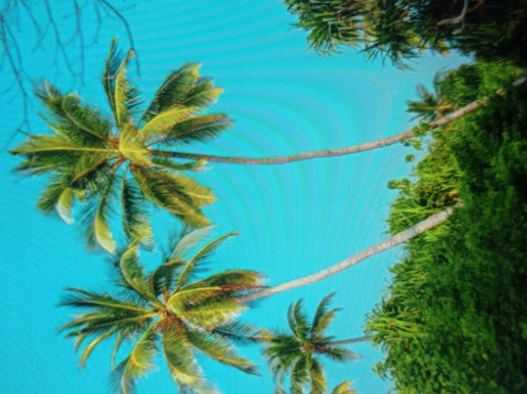 The image shows a tropical scene with palm trees against a bright blue sky. The palm trees are tall and slender with fronds. There is lush green foliage at the bottom of the image, with other trees and vegetation visible. The overall impression is of a warm, sunny day in a tropical location. There is no indication of the city of Mukachevo, Ukraine, or any urban elements in the image.