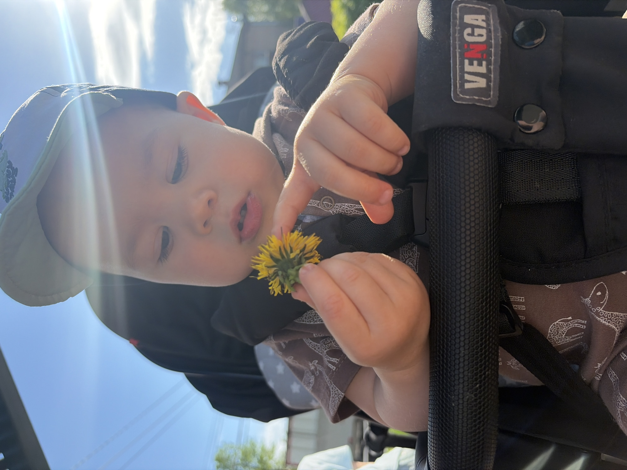 A young child, likely a toddler, is seated in a black stroller, holding a dandelion flower. The child wears a light-colored cap with a dark design, and a brown shirt patterned with white giraffe figures. The stroller has a black frame and seat. A logo "VENGA" is visible on the upper right of the stroller's frame. The background shows a bright sky with some clouds and glimpses of trees and buildings, possibly indicating an outdoor urban setting. The photograph was taken in Chaikovsky, Russia.
