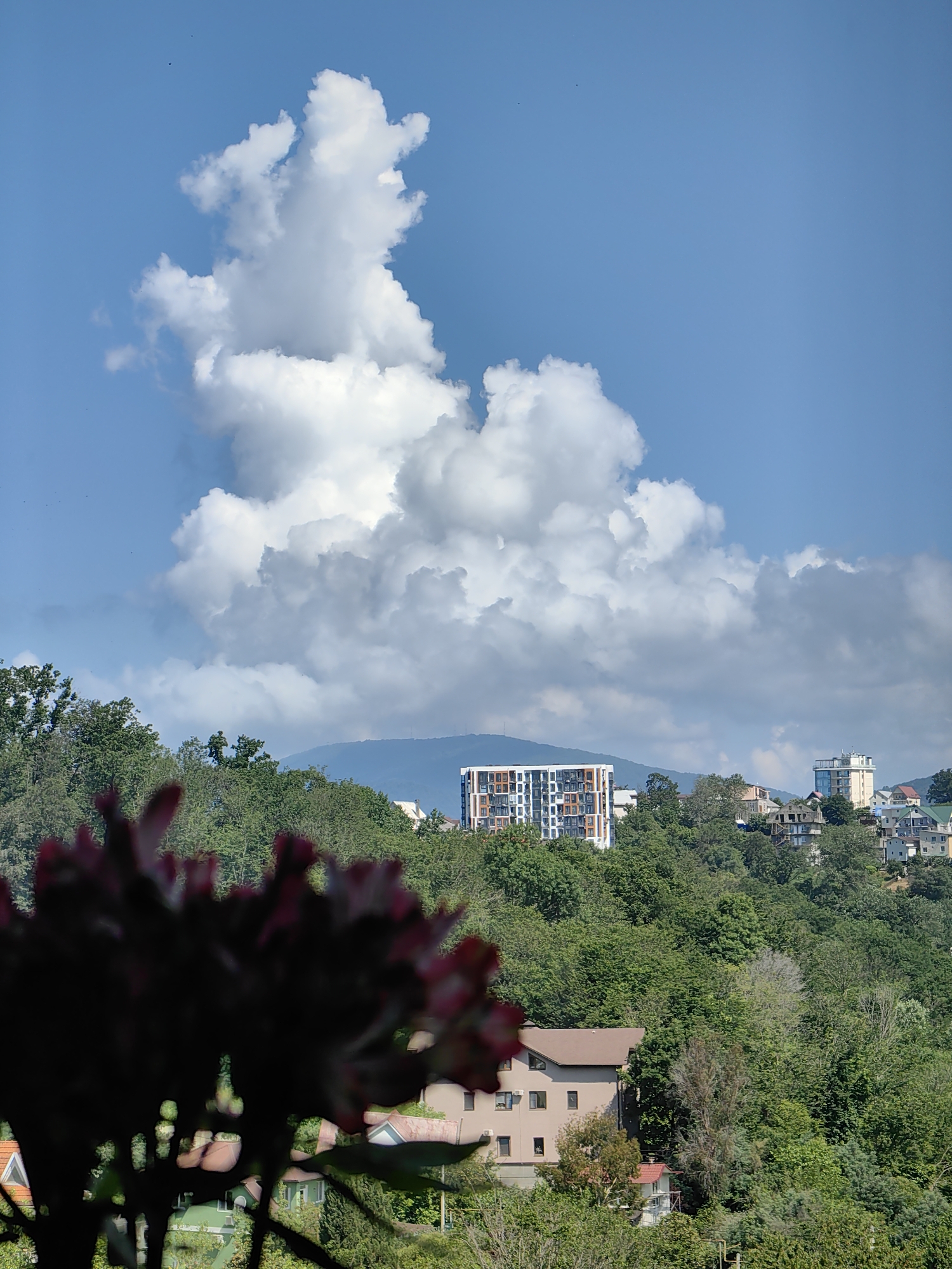 The image depicts a scenic view of a hillside in Sochi, Russia, under a bright blue sky with dramatic white cumulus clouds. In the foreground, dark pink flowers are blurred, obscuring some of the lower portion of the scene. The midground is dominated by lush green trees covering the hillside, interspersed with houses and buildings. Notable structures include a modern, multi-story apartment building with a white facade and colorful geometric accents, and other residential buildings of varying architectural styles. In the background, a mountain range is visible, shrouded in a light haze. The overall impression is one of a sunny day in a residential area that is integrated with a natural, hilly landscape.