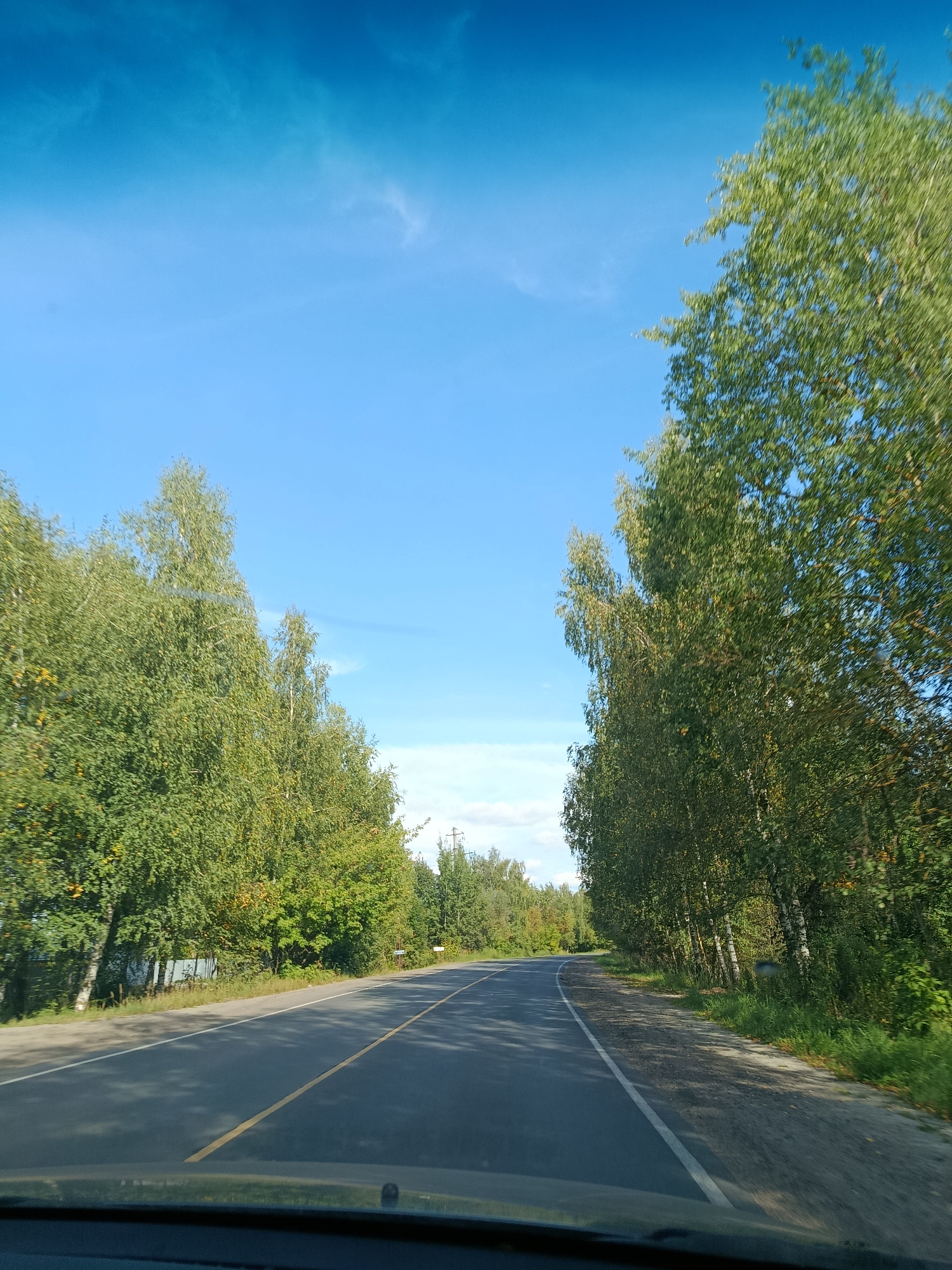 The image shows a view from a vehicle traveling on a paved road through a wooded area. The road has a yellow center line and a white edge line. On either side of the road are numerous trees with green foliage, some appearing to be birch trees with white trunks. The sky is a clear blue with some wispy clouds. The environment suggests a rural or suburban setting. There are no people visible in the image. The overall scene depicts a typical drive through a natural landscape.