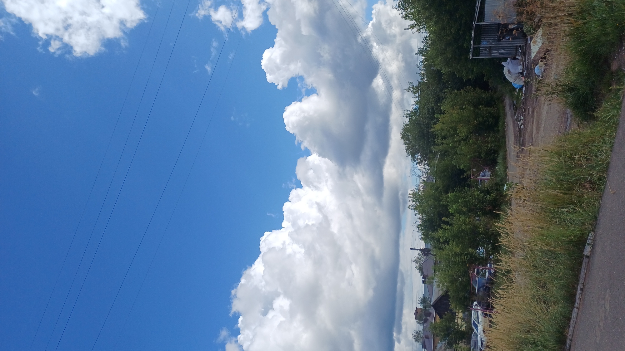 The image depicts an outdoor scene in Izhevsk, Russia, on a clear day with a blue sky and scattered white clouds. In the foreground, a paved surface is visible, bordered by tall, dry grass and some green vegetation. Beyond this, a row of trees forms a dense green barrier, behind which several houses with pitched roofs can be seen. To the right, a small, corrugated metal structure stands open, containing various discarded items including bags and what appear to be building materials. The ground area is uneven and appears unkempt, with scattered debris and some parked vehicles further back. Power lines are visible stretching across the sky.