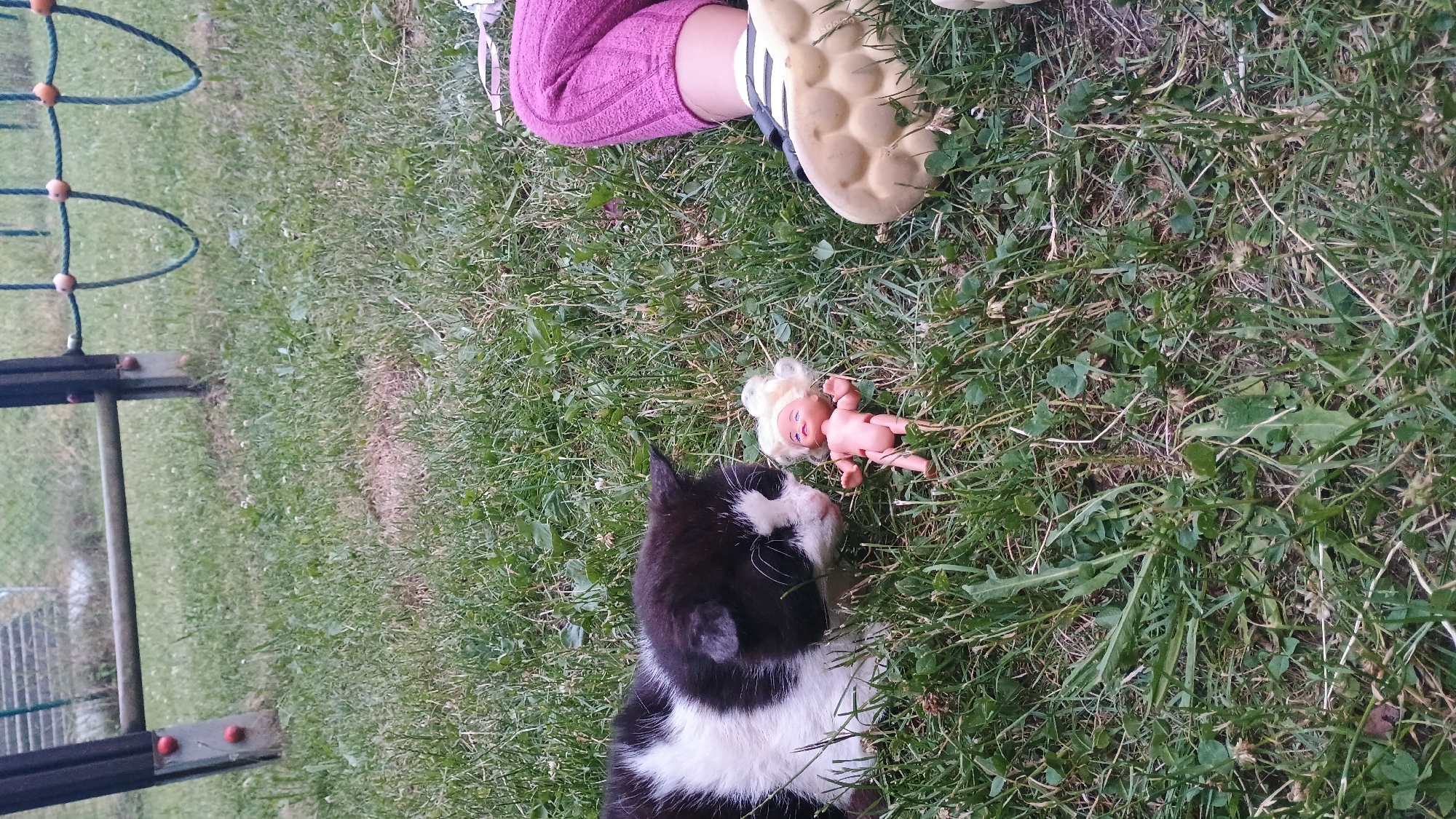 An outdoor scene features a black and white cat lying on green grass, next to a small doll with blonde hair. A child's legs, clad in purple leggings and a tan sandal, are visible on the right side of the frame. In the background, parts of a playground structure can be seen. The setting appears to be a park or backyard in Sokolov, Czechia.