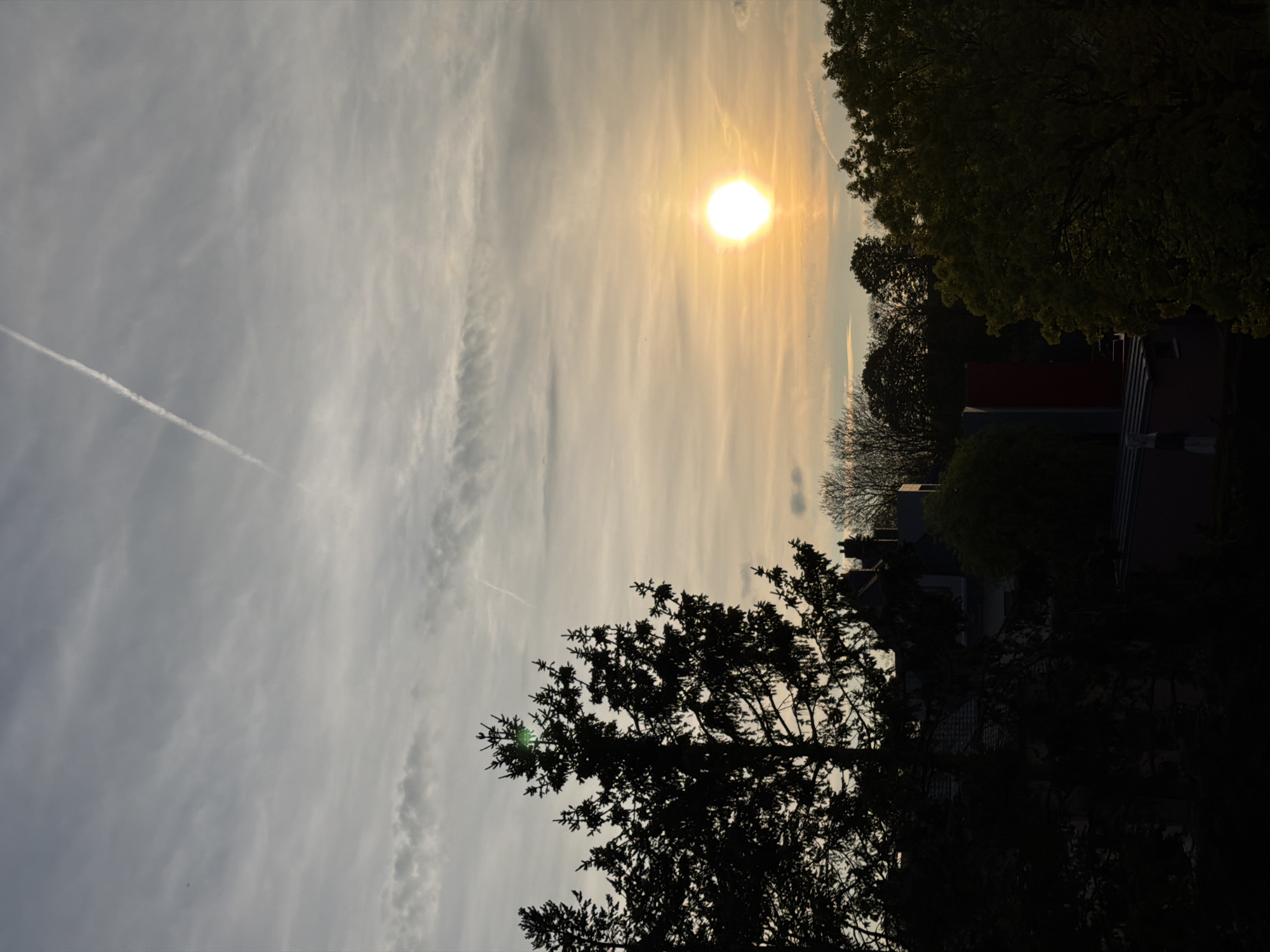 The image captures a sunset scene in Esch-sur-Alzette, Luxembourg. The sun, a bright orb, is positioned in the upper right quadrant of the image, partially obscured by thin, wispy clouds. The sky is filled with these clouds, which transition from gray to orange as they approach the sun. A contrail stretches across the left side of the sky. In the foreground, the silhouette of a pine tree fills the lower portion of the frame. In the middle ground, a building with a red section and dark gray roof are visible amongst the trees. Other trees with varied foliage are scattered around the buildings.
