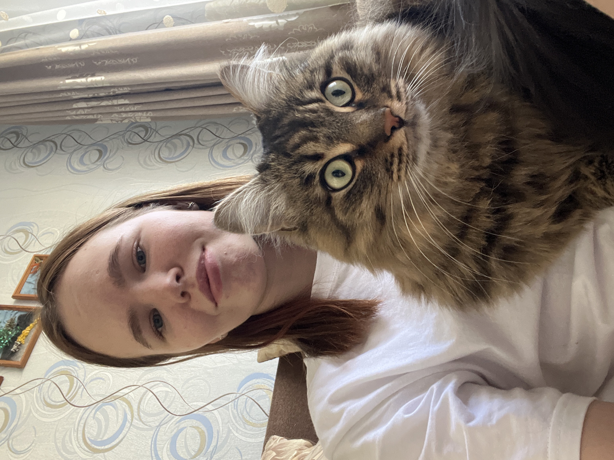 A woman takes a selfie with a large, brown tabby cat in what appears to be an indoor environment. The woman has fair skin and light brown hair. She is wearing a white t-shirt. The cat is positioned above her, its face close to the camera. The cat has green eyes. The background consists of a wall with patterned wallpaper and a window with curtains. Two framed pictures are partially visible on the wall to the left of the woman. Based on the user’s prompt, the image was taken in Chaikovsky, Russia.