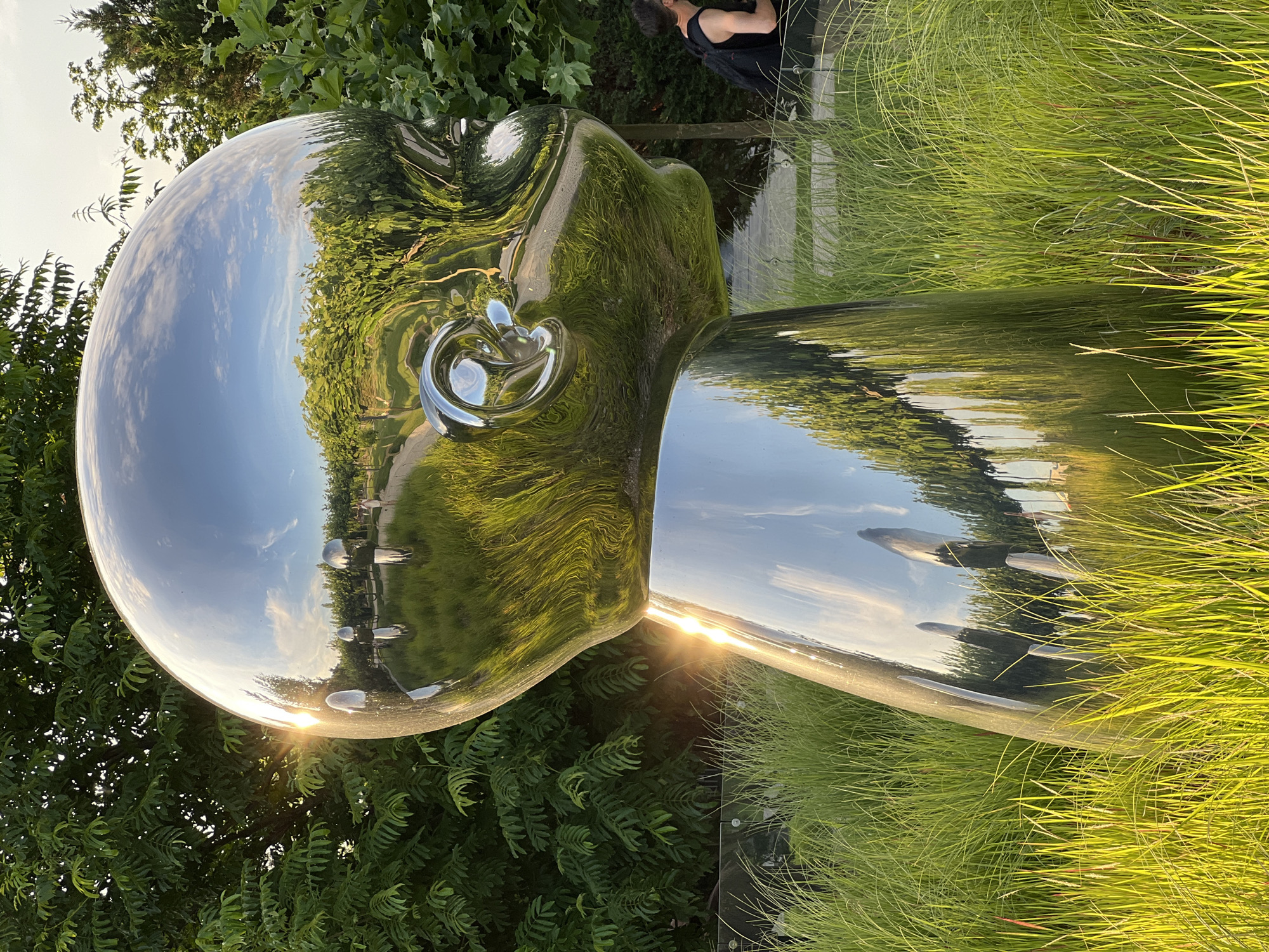 This media file captures a close-up view of a large, abstract, polished metal sculpture, likely made of stainless steel, designed in the shape of a human head and neck. The sculpture's highly reflective surface mirrors the surrounding environment, including lush green foliage, tall ornamental grasses, a walkway, and a cloudy sky with the sun breaking through. The sunlight creates a lens flare effect as it hits the sculpture.
In the background, a person wearing a black tank top is partially visible, looking downwards. The scene is set outdoors, with natural vegetation forming a significant part of the composition. The time of day appears to be late afternoon or early evening, indicated by the warm, low angle of the sunlight and the shadows cast. The weather seems pleasant, with a clear sky dotted with clouds.
The sculpture's reflective quality distorts the reflected elements, creating an impressionistic and surreal effect. The prominent features of the sculpture, such as the eye socket and the curve of the head, are highlighted by the play of light and reflection. The overall mood is serene and contemplative, with the interplay of the natural world and the man-made object. No visible text is present in the image. The location context provided is Krasnodar, Russia.