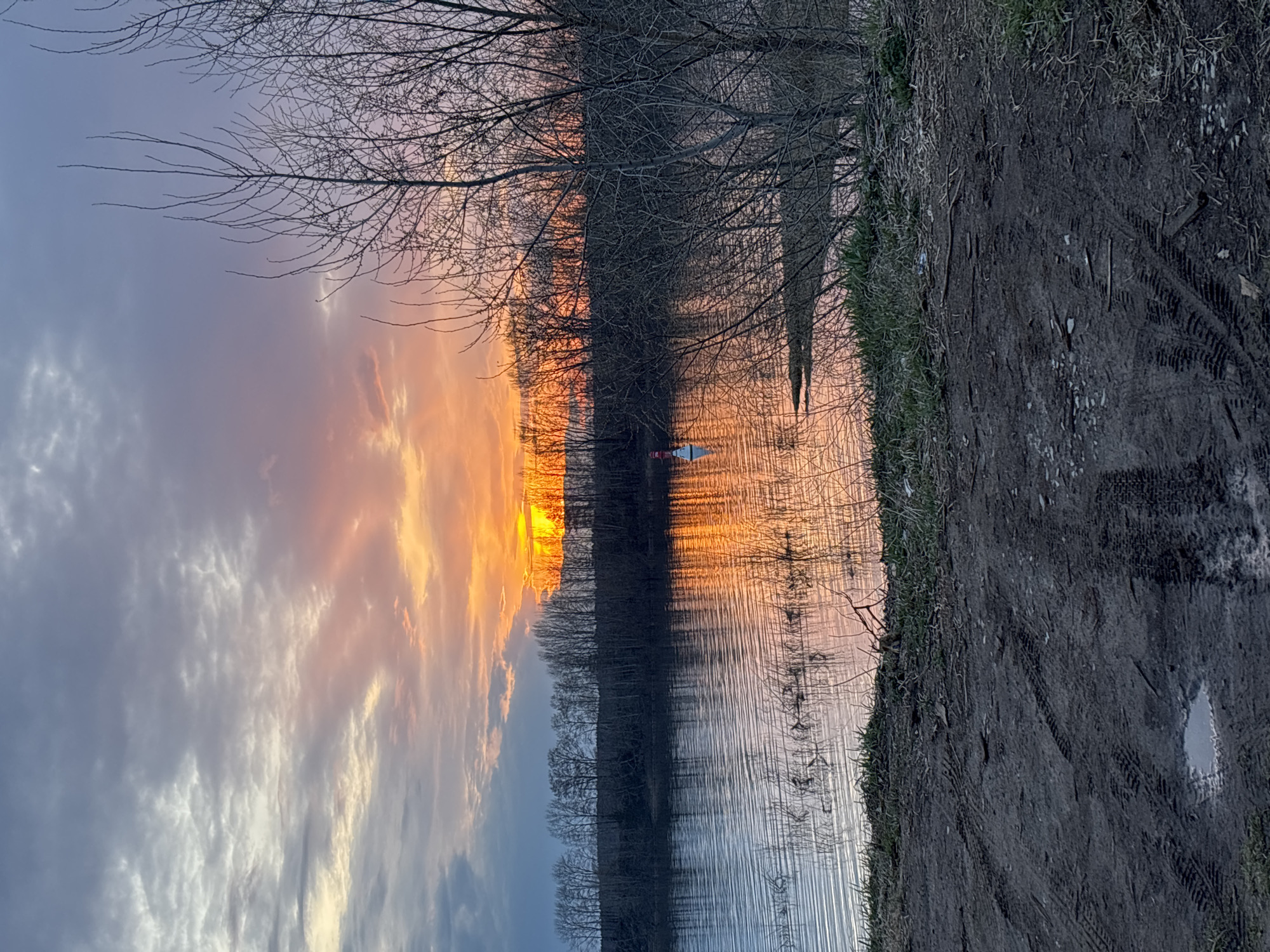 The image captures a sunset over a body of water, likely a river or lake, in what appears to be a natural area bordering Chaikovsky, Russia. The sun is setting near the horizon, creating a vibrant orange and yellow glow that reflects on the water's surface. The sky displays a mix of clouds, some illuminated by the sunset, others appearing gray and darker. Silhouetted trees line the riverbank, their bare branches contrasting against the colorful sky. The ground on the right side of the frame is muddy, marked with tire tracks and a small puddle. A small boat or kayak is visible on the water's surface.