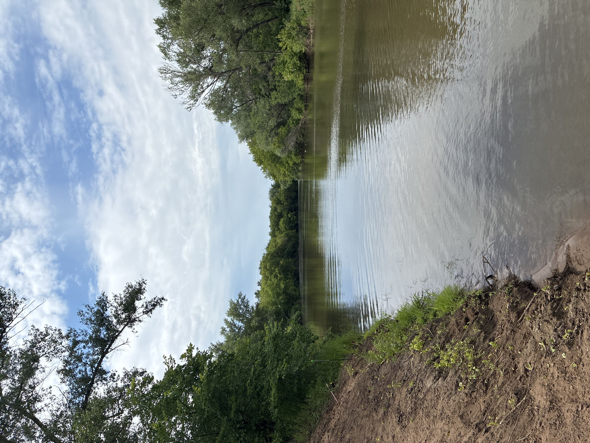 The image depicts a tranquil river scene on a partly cloudy day. The foreground features a dirt bank with sparse green grass and small plants growing along the edge. The river, reflecting the sky and surrounding trees, occupies the majority of the frame, appearing calm with gentle ripples. Dense green foliage lines both banks of the river, with mature trees forming a canopy in the distance. The sky above is a mix of blue and white clouds. There is no indication of the specific location in the city of Totskoye, Russia, nor are there any people or animals visible in the scene. The image captures a natural, unpopulated environment.