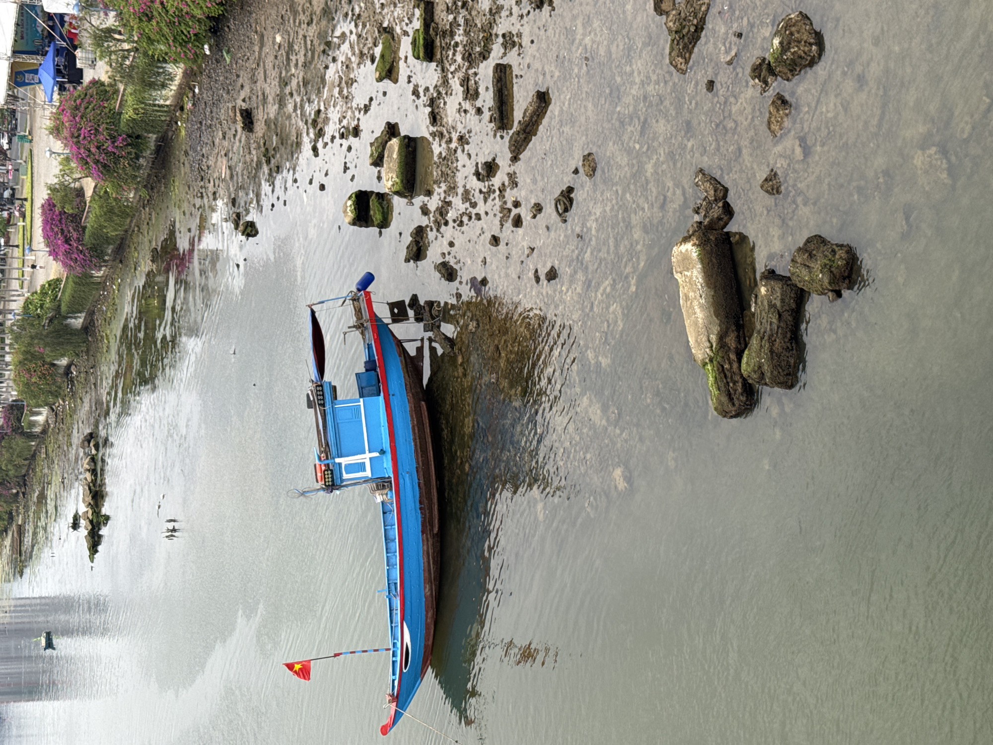 A blue and red fishing boat sits in a shallow, murky river in Đà Nẵng, Vietnam. The boat is close to the muddy bank, where flowering bushes line the river's edge near a road. The riverbed has scattered stones, rocks, and concrete debris. The water's surface is textured with reflections, indicating a slight ripple effect. A small Vietnamese flag flies on the bow of the boat.