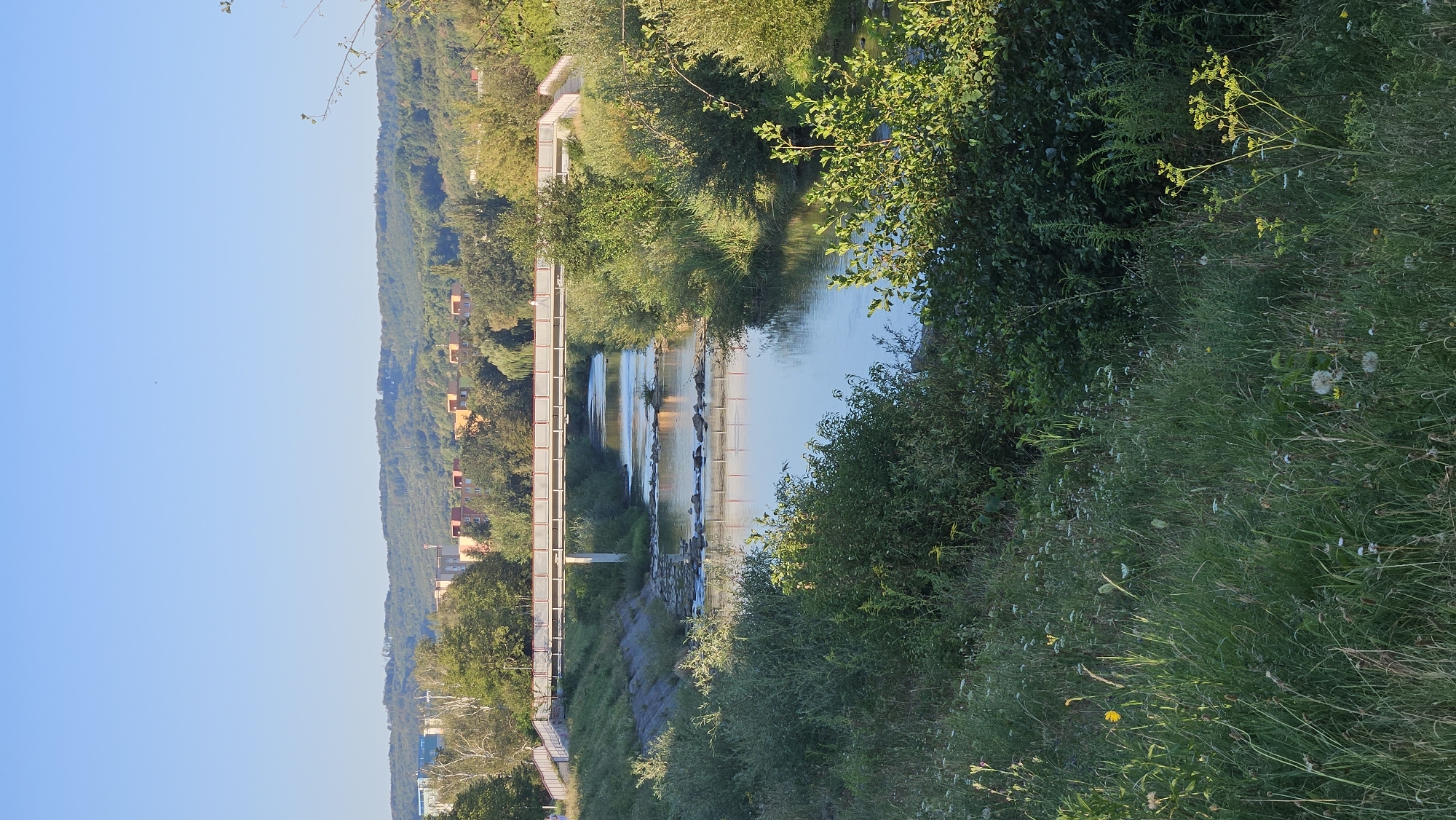 The image captures a serene view of the Torysa River flowing through the city of Prešov, Slovakia, under a clear blue sky. A modern pedestrian bridge, painted white with red accents, spans the river, reflecting on its calm surface. The bridge is flanked by lush green trees and vegetation on both sides, with a gentle slope leading up to the bridge on the left bank. In the background, a row of colorful apartment buildings can be seen nestled amongst the trees, suggesting a residential area. The foreground is dominated by a grassy embankment dotted with wildflowers, contributing to the natural beauty of the scene. The lighting suggests it is either early morning or late afternoon, with the sun casting a warm glow on the landscape.