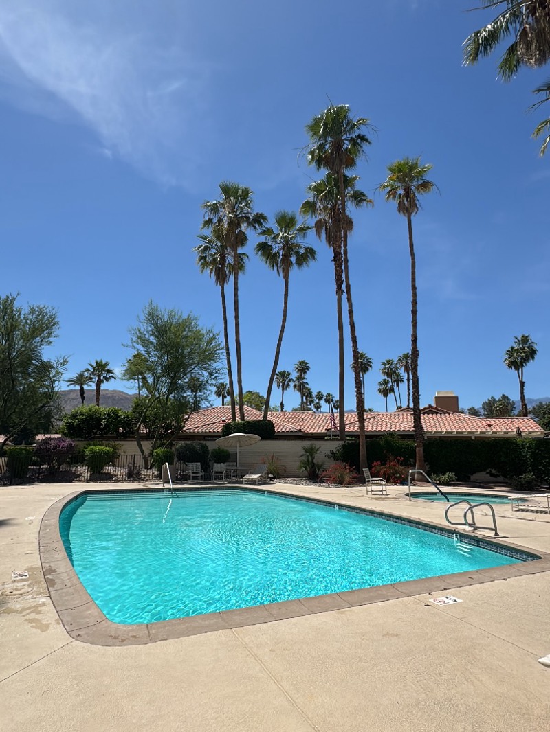 The image depicts a swimming pool area in Palm Desert, United States. The pool is rectangular with light blue water and surrounded by a concrete deck. Several tall palm trees are visible in the background, along with low buildings with red-tiled roofs. A few lounge chairs and tables are placed near the pool and buildings. The sky is clear and blue. There are no people visible in the image.
