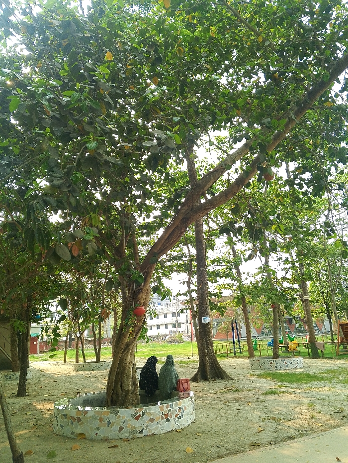 Memory