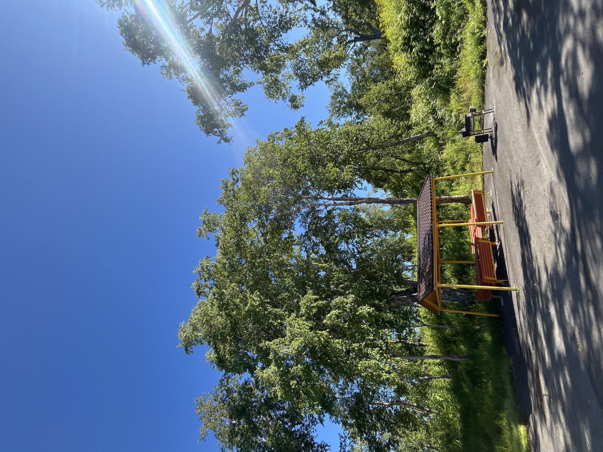The image depicts an outdoor recreation area in Paratunka, Russia, on a clear, sunny day. Dominating the scene are tall, leafy birch trees against a bright blue sky, with sun glare visible in the upper right quadrant. In the foreground, a paved area is present, featuring a yellow-framed gazebo with brown roofing and attached benches. Adjacent to the gazebo, a black barbecue grill stands on the pavement. The background consists of lush green grass and dense foliage, indicative of a natural setting. No people are present in the image.