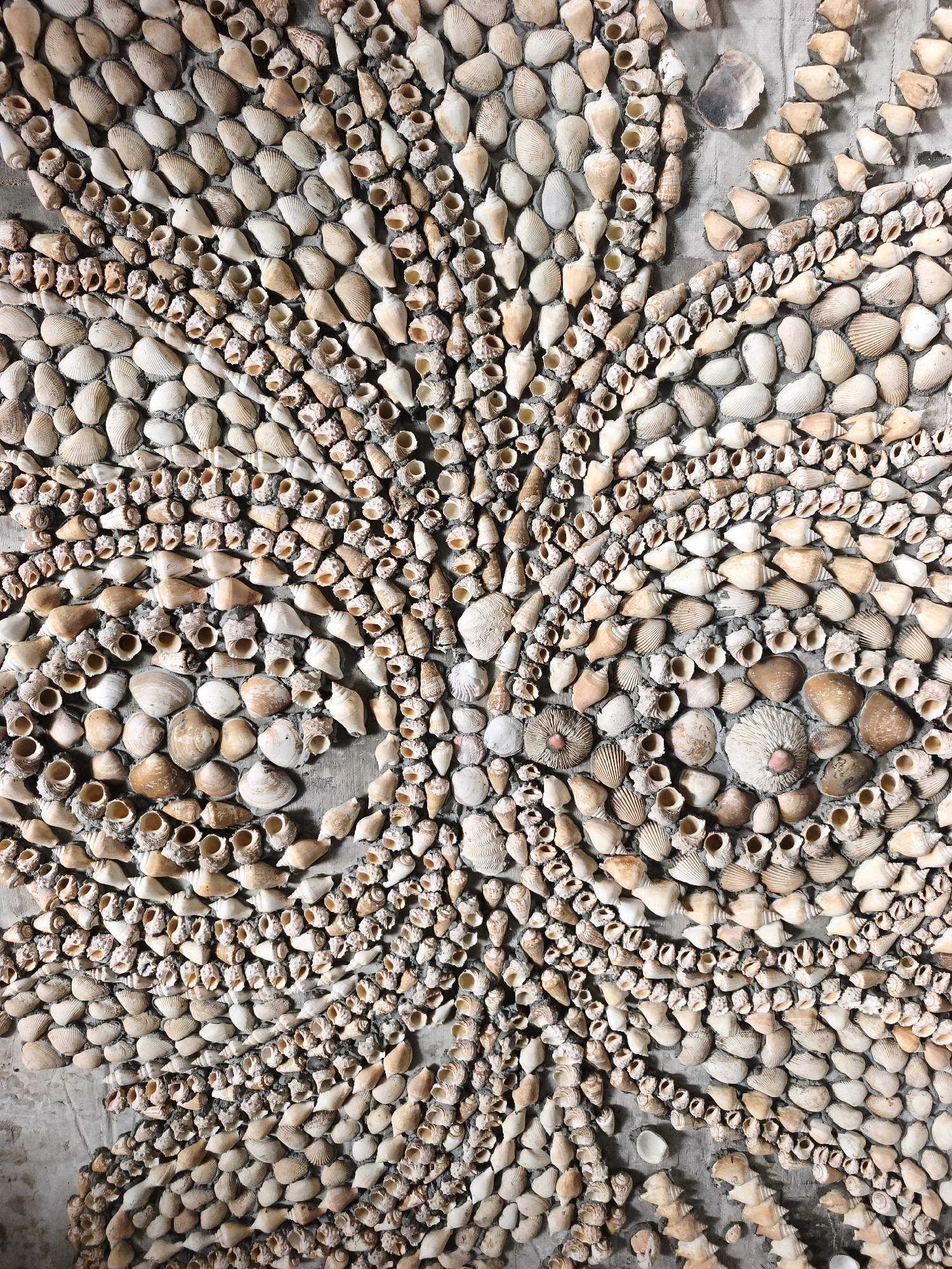The image shows a wall adorned with a mosaic of seashells. The shells are of various shapes, sizes, and colors, predominantly in shades of white, beige, and brown. They are arranged in intricate patterns against a textured concrete background, forming a decorative, organic design that resembles a radial or floral motif. The seashells are densely packed and appear to be cemented or adhered to the wall. There are no people or animals visible in the image. The lighting suggests an indoor or shaded outdoor environment, with the detail of the shells clearly visible.
This artwork is located in Cam Ranh, Vietnam. Specifically, it is part of the mosaic wall at the Tu Van Pagoda (Chua Tu Van), also known as the "Pagoda of Shells" or "Thuy Bieu Pagoda," situated in the Cam Linh ward of Cam Ranh city, Khanh Hoa province. The pagoda is renowned for its elaborate decorations made entirely from seashells and coral, which adorn its entire structure, including walls, statues, and even the roof.