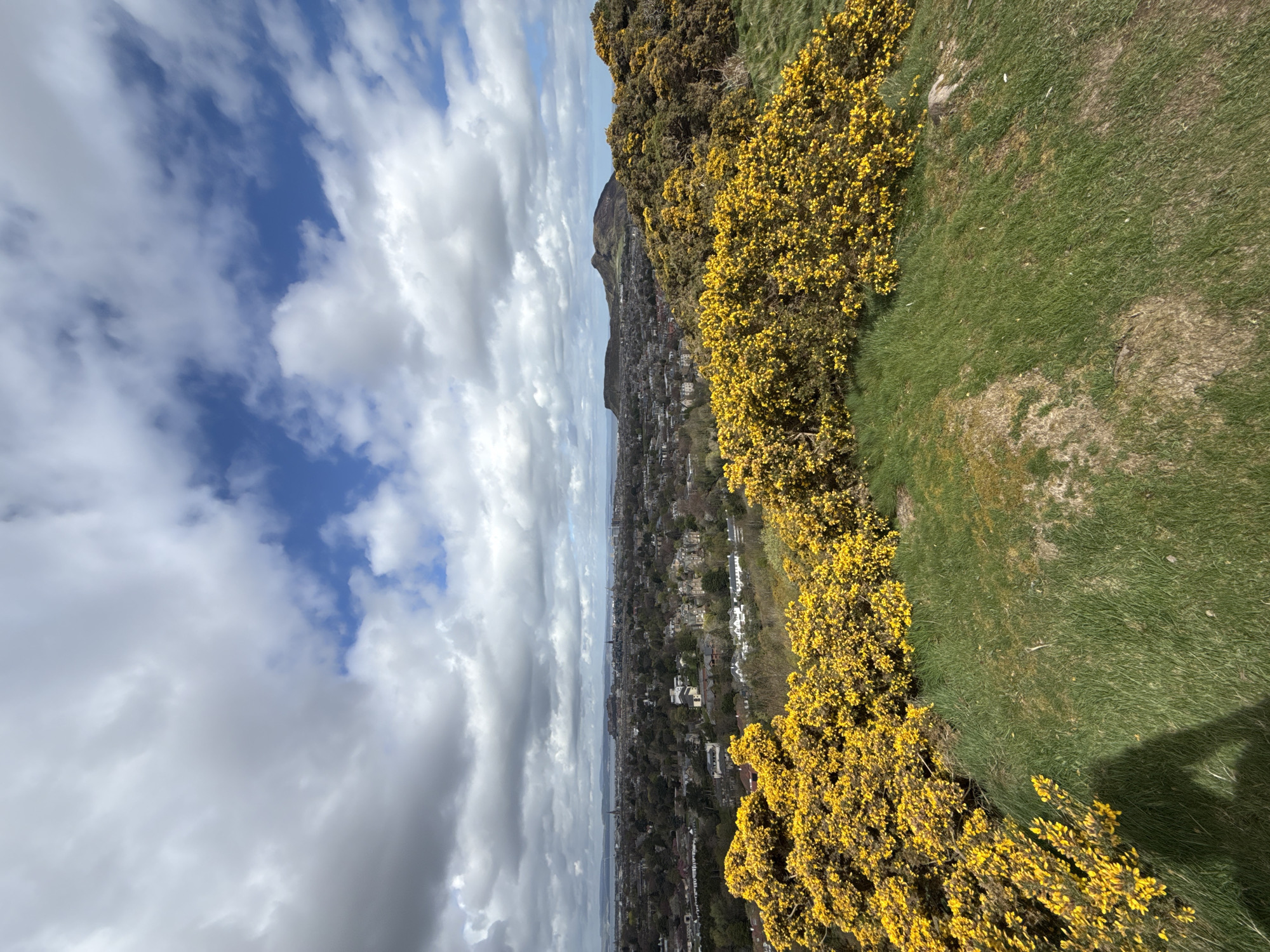 The image presents a wide, elevated view of a landscape encompassing natural terrain, an urban area, and the sky. The perspective is from a hillside, looking down and across.
In the foreground and midground on the right, there is a vibrant green grassy slope, heavily dotted and lined with dense bushes covered in bright yellow flowers, likely gorse or broom. A dark, human-like shadow is cast on the grass in the lower right, indicating the presence of the photographer.
Beyond the natural hillside, a sprawling urban area extends into the distance. Numerous buildings, houses, and trees are visible, forming a dense cityscape that stretches towards a body of water, possibly a sea or large river, on the horizon. Further in the background, distinct hills or mountains rise, with one prominent peak visible against the sky.
The sky occupies the upper left portion of the image and features a mix of deep blue patches interspersed with numerous white and grey cumulus clouds, suggesting a partly cloudy day. The overall lighting indicates bright daylight, likely late morning or early afternoon. No specific activities are depicted beyond observing the scenic view. There is no visible text in the image.