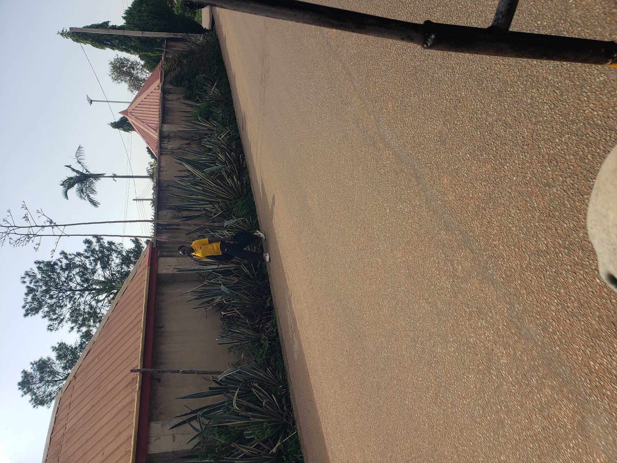 A person in a yellow shirt and black pants walks along a paved road in Gura Top, Nigeria. The person is carrying a black bag. The road is lined with a wall and a row of agave plants. In the background, there are houses with red roofs, trees, and a palm tree. The sky is clear and blue. The image is taken from a low angle, suggesting the photographer is in a vehicle.