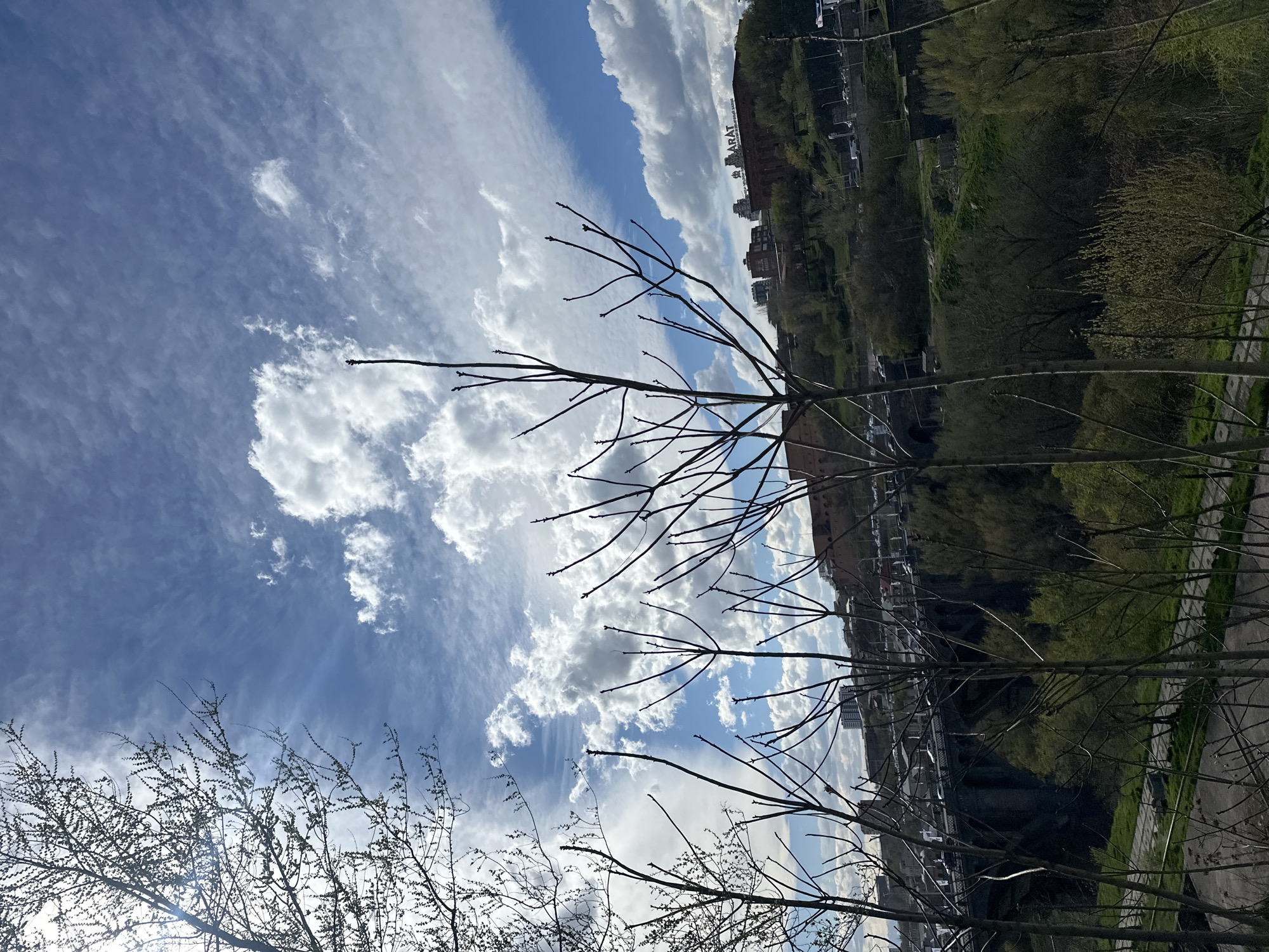 The image depicts a scene in Yerevan, Armenia, as evidenced by the "ARARAT" sign visible on a building. The perspective is looking upwards and slightly across a ravine or valley. The foreground features bare tree branches against a sky filled with scattered clouds. In the midground, there is a view of a city landscape, including buildings, foliage, and a bridge spanning a lower area. The overall environment suggests a park or green space within an urban setting.